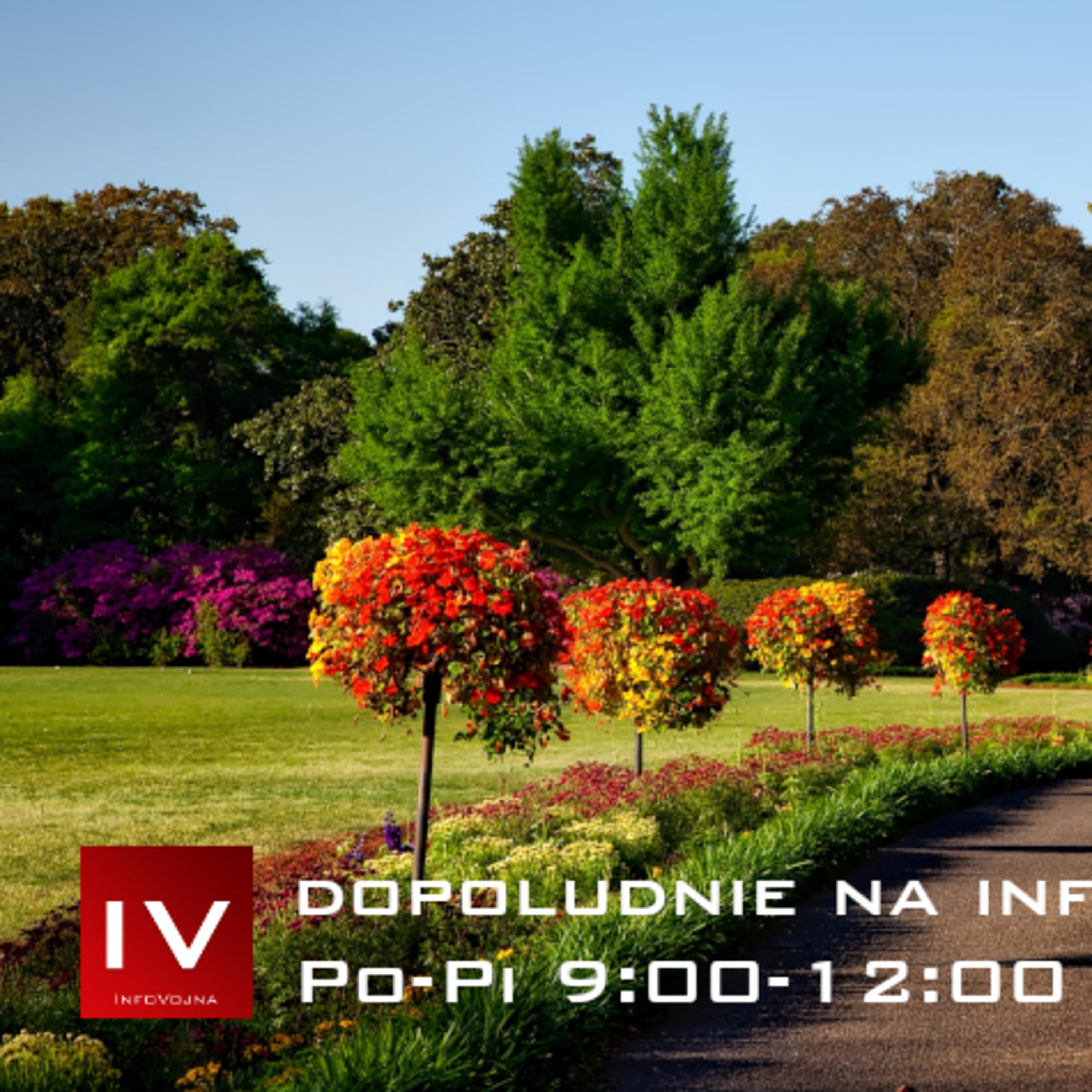 Dopoludnie na InfoVojne s Adrianom 22.4.2026