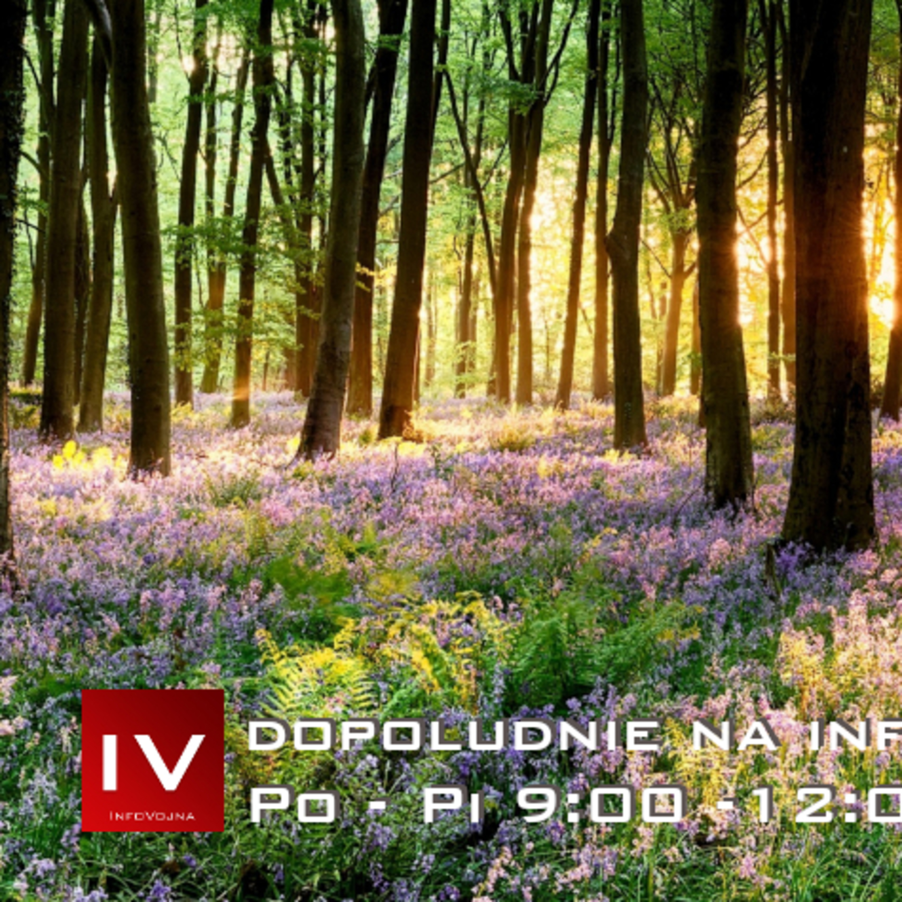Dopoludnie na InfoVojne s Adrianom 23.4.2026