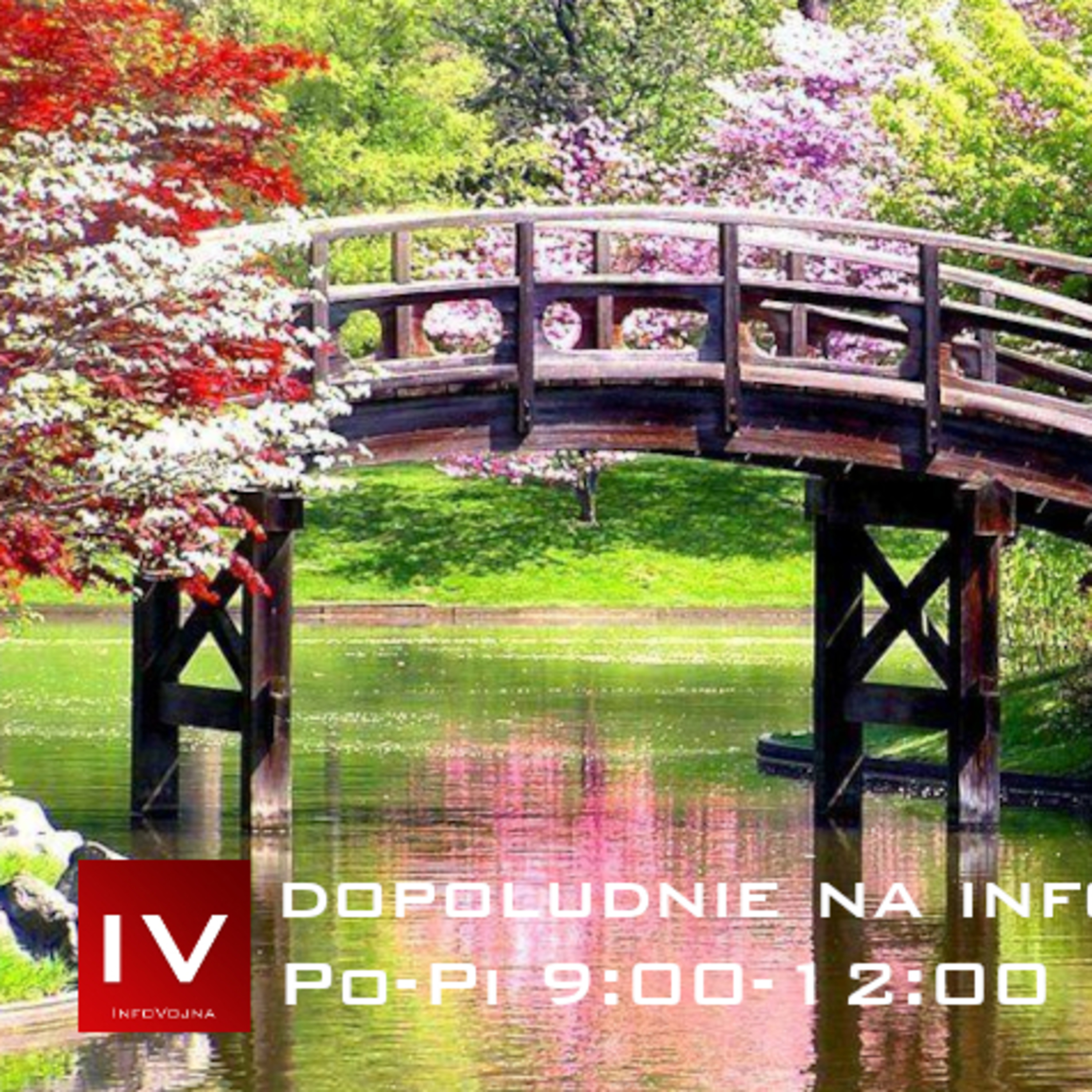 Dopoludnie na InfoVojne s Adrianom 8.6.2026