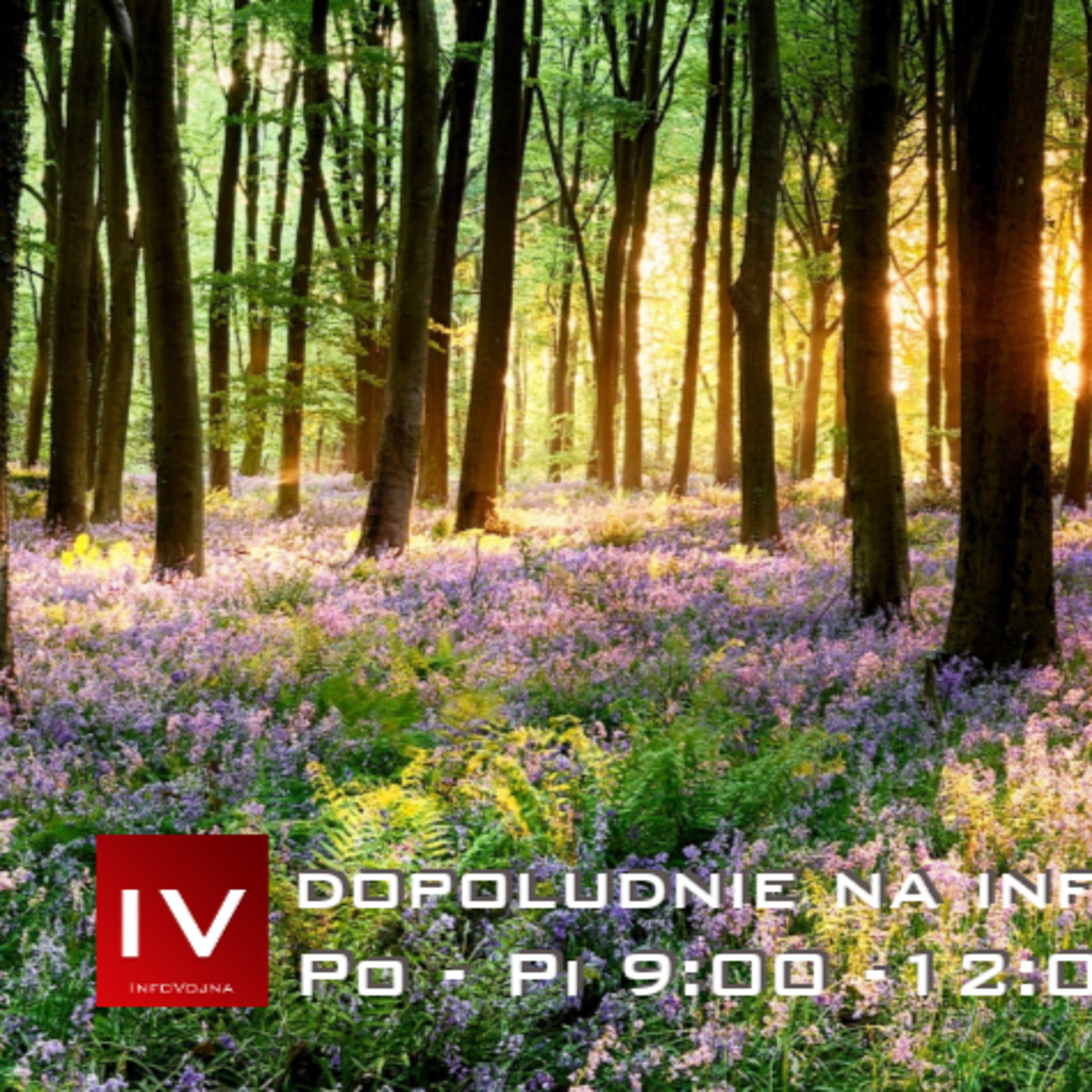 Dopoludnie na InfoVojne s Adrianom 10.6.2026
