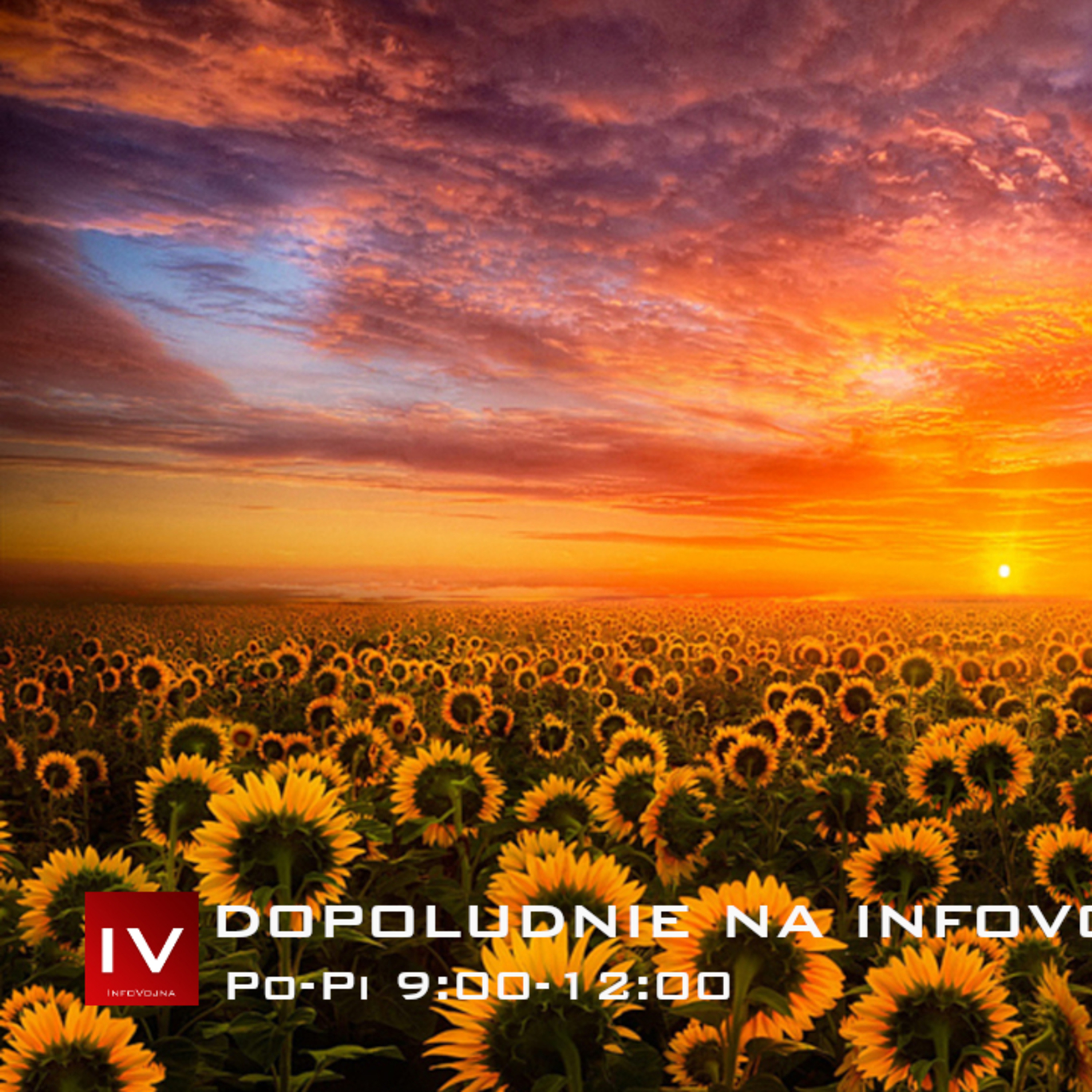 Dopoludnie na InfoVojne s Adrianom 18.6.2026