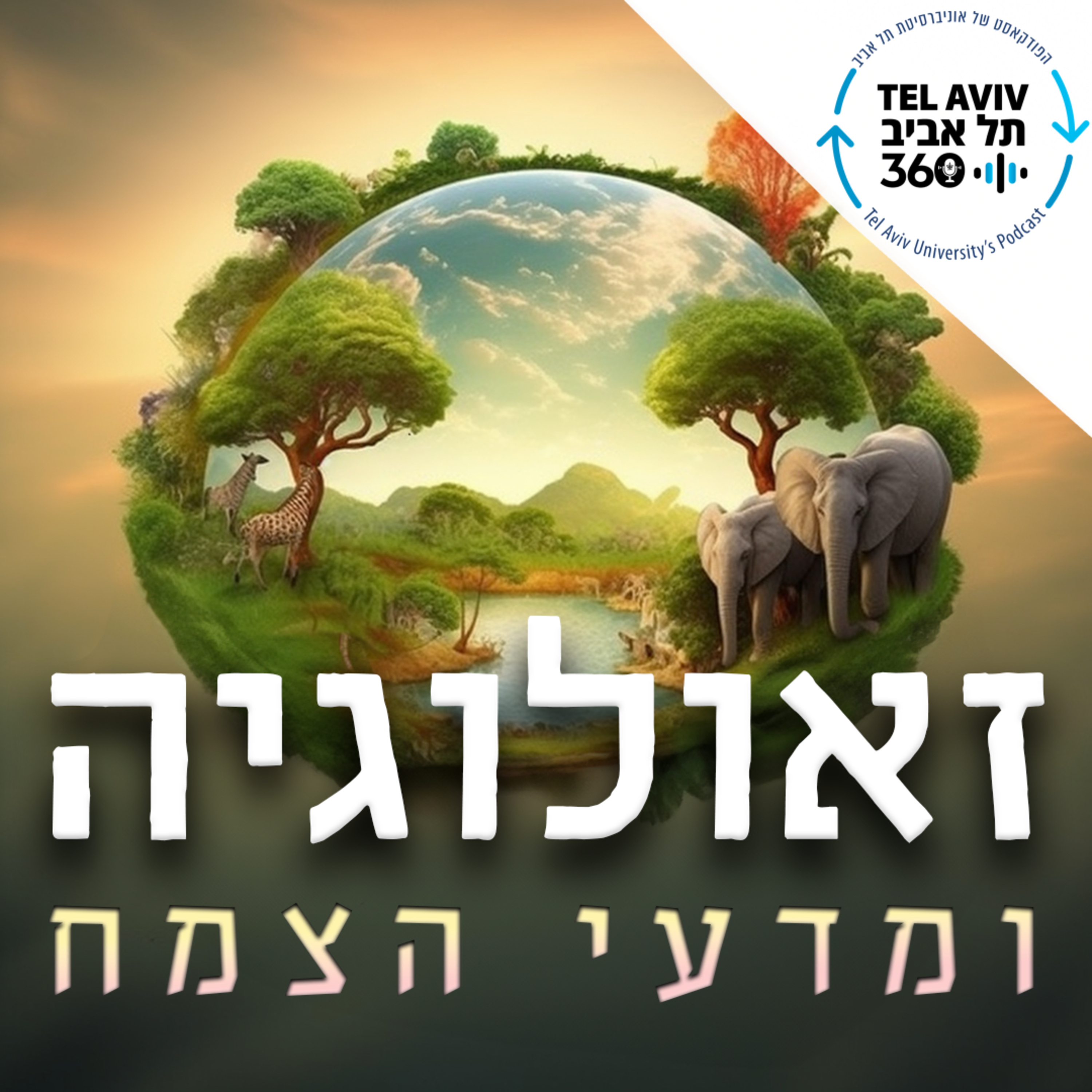 ?הסיפור שלא סופר: מה קרה ליממה
