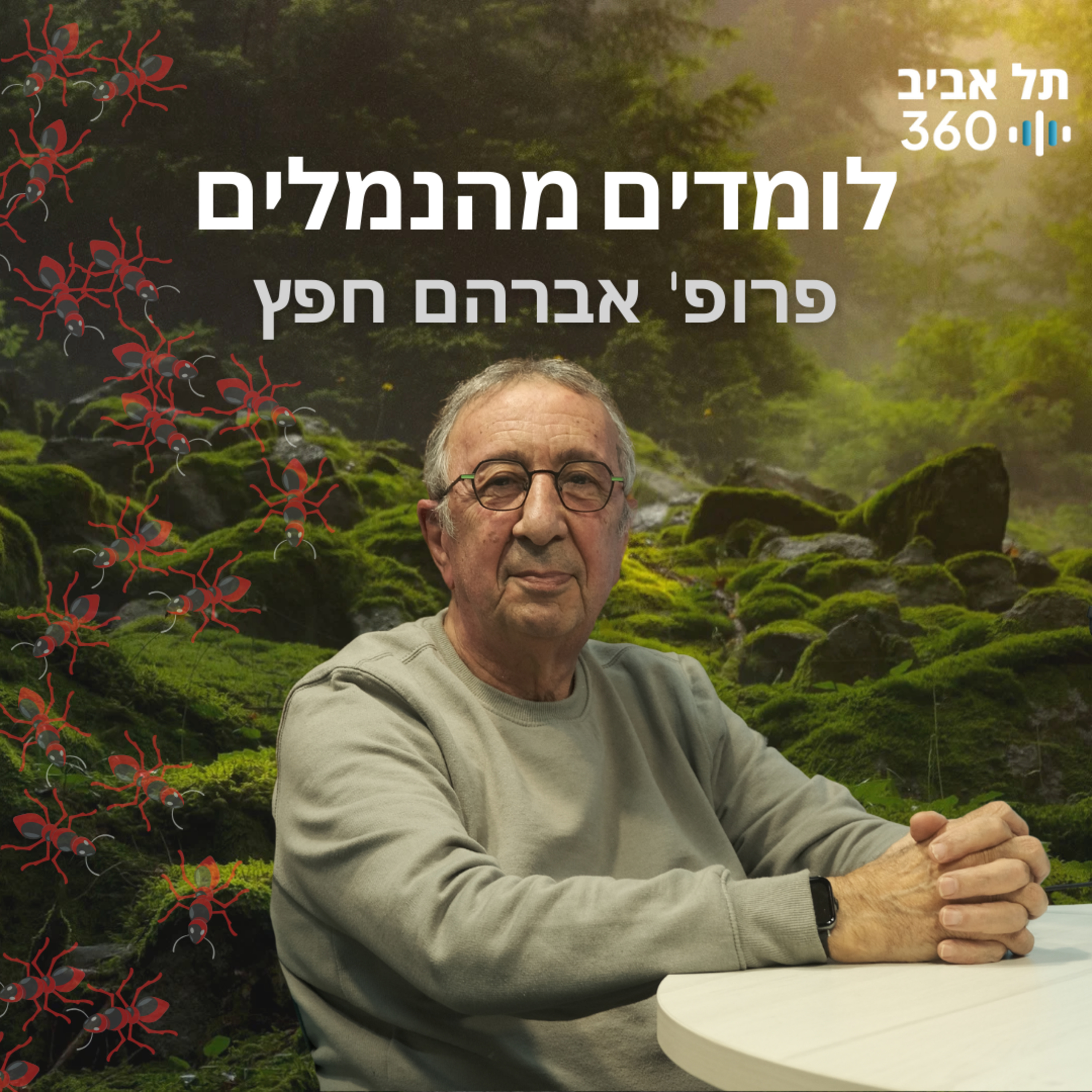 לומדים מהנמלים | טבע הסביבה