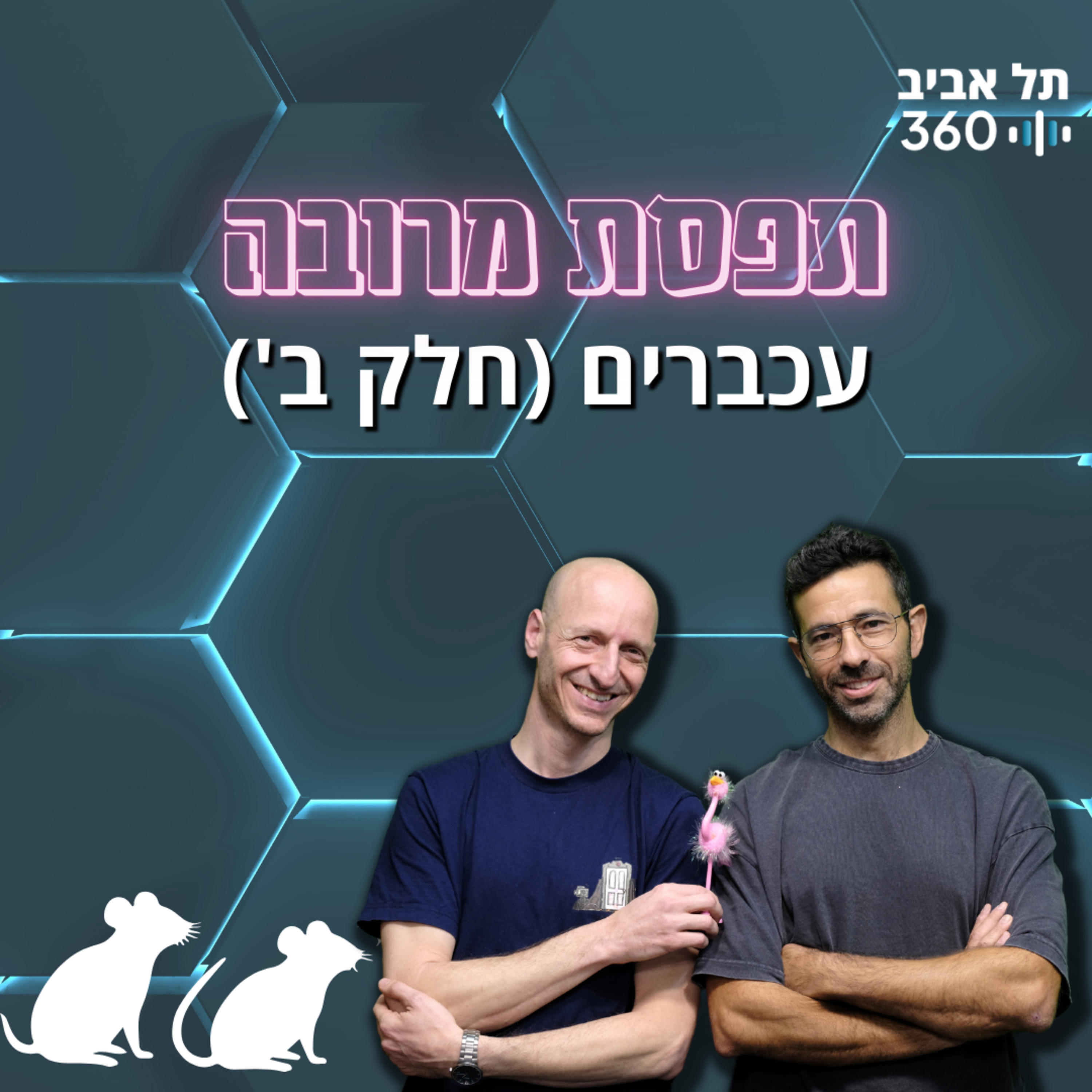 תפסת מרובה — עכברים | פרק 1 (חלק ב')
