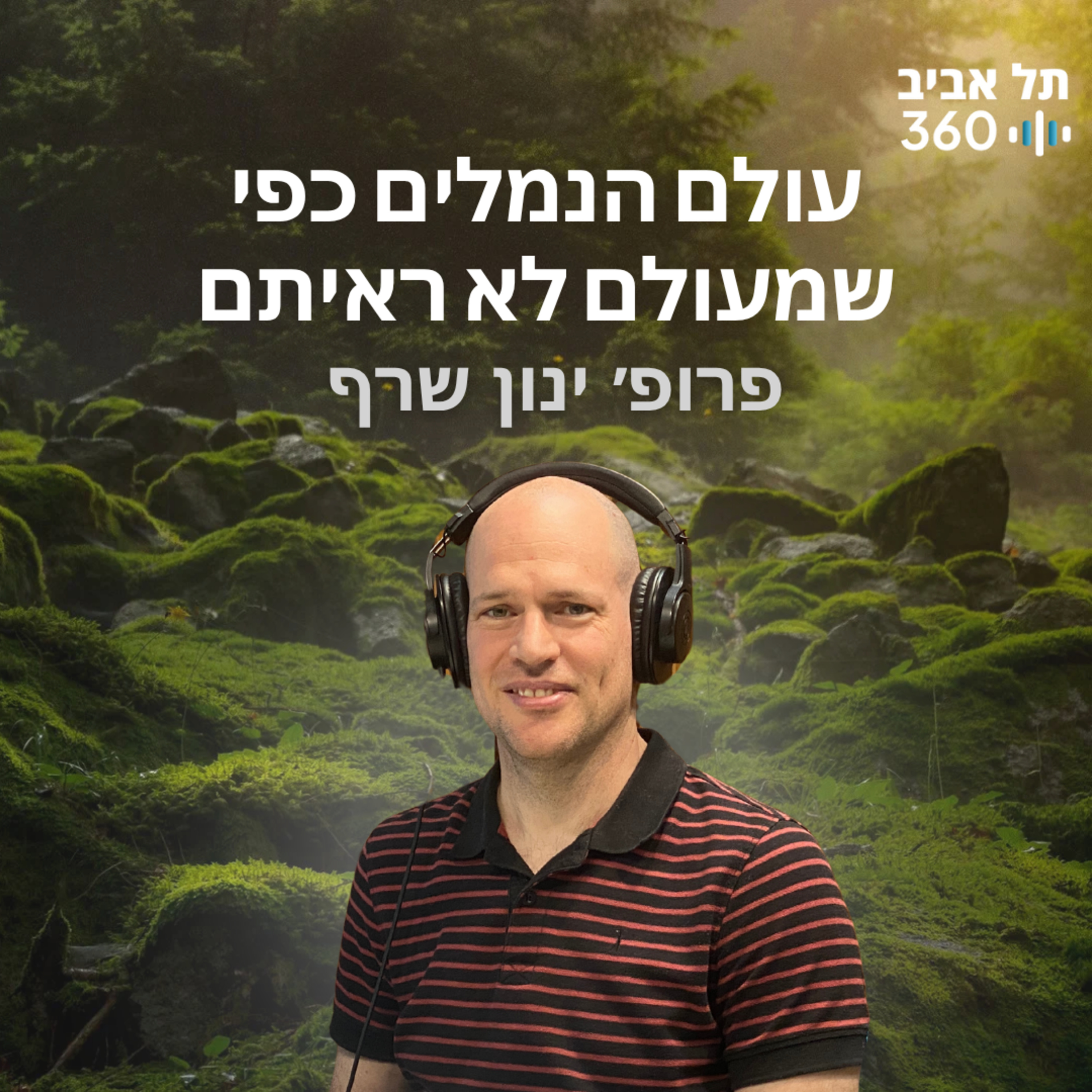 עולם הנמלים כפי שמעולם לא ראיתם | טבע הסביבה