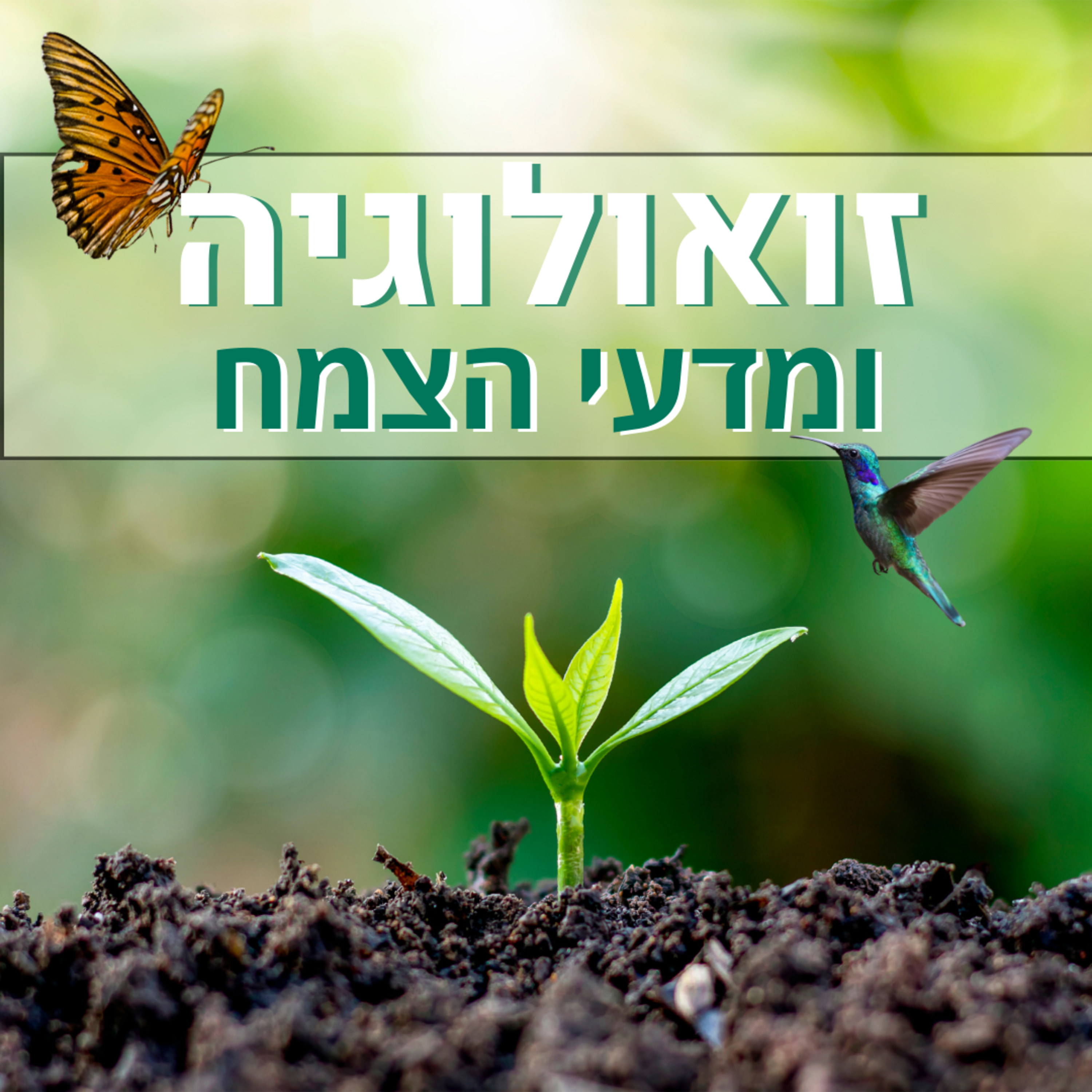 ארכיאו-בוטניקה - שחזור גני פאר בעת העתיקה (פרק 2)