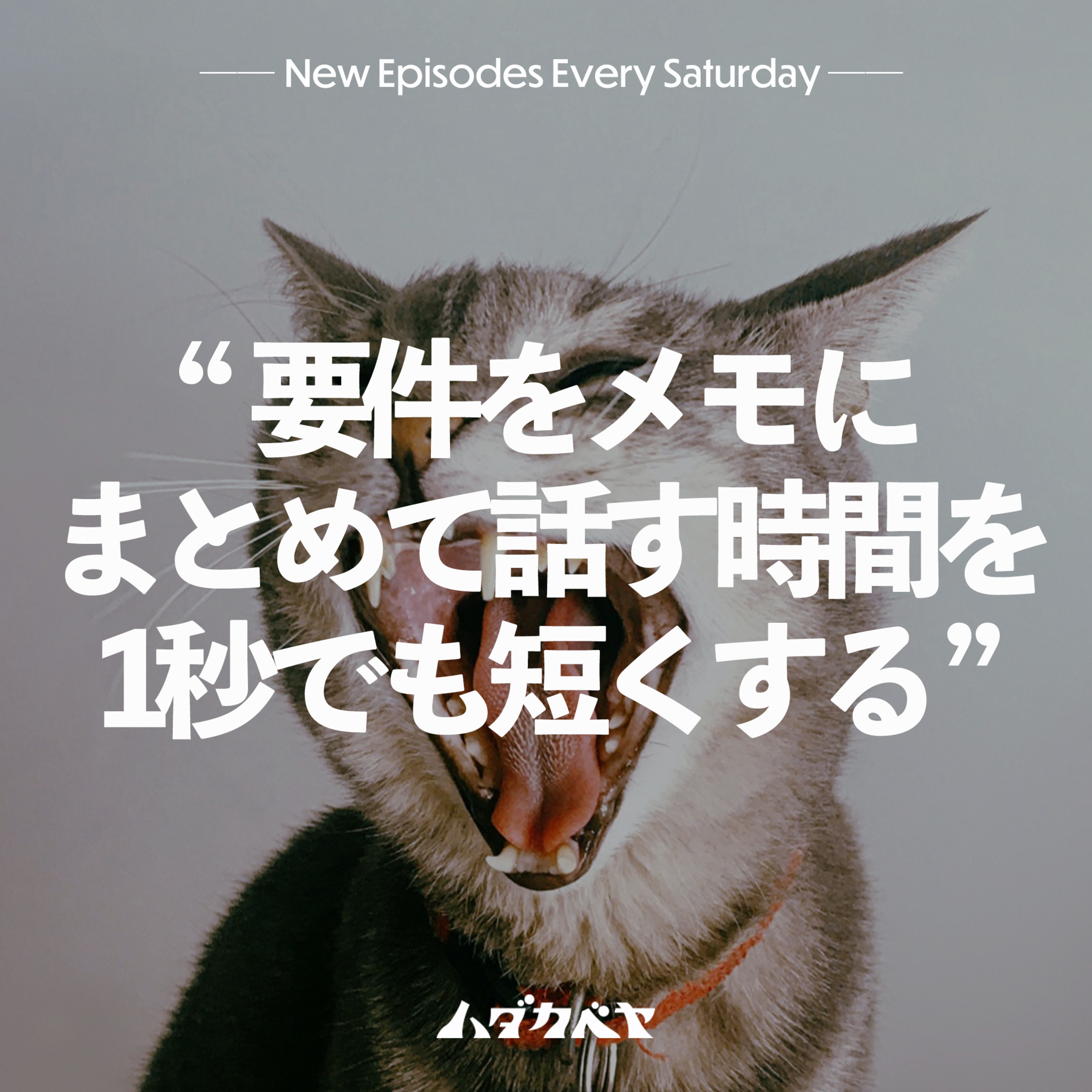 ハダカベヤ