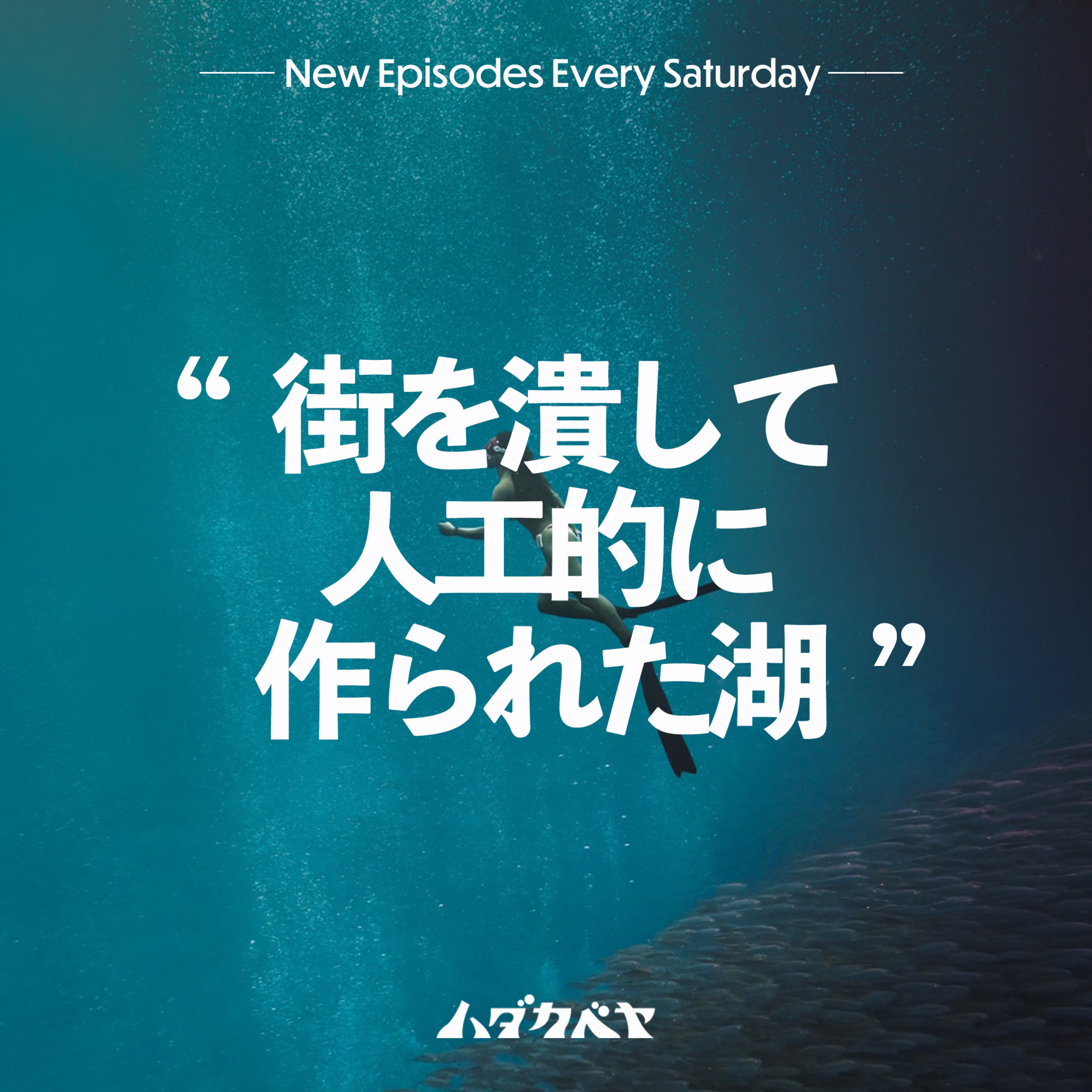 ハダカベヤ