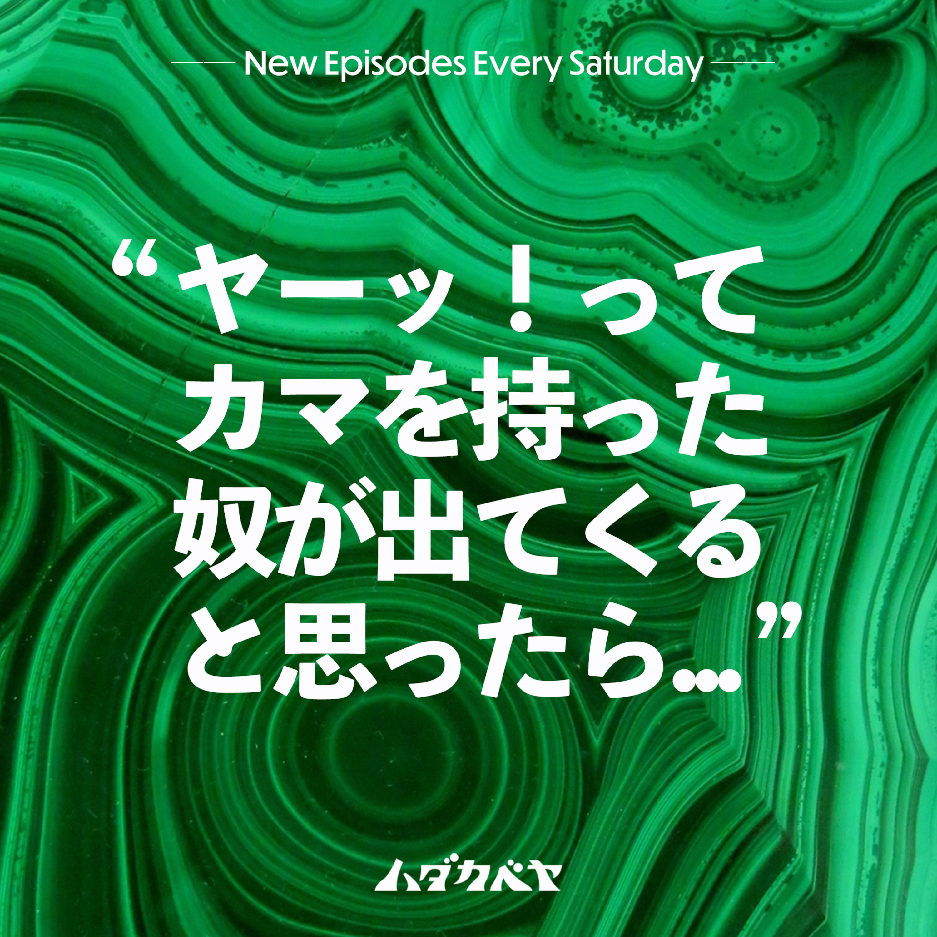ハダカベヤ