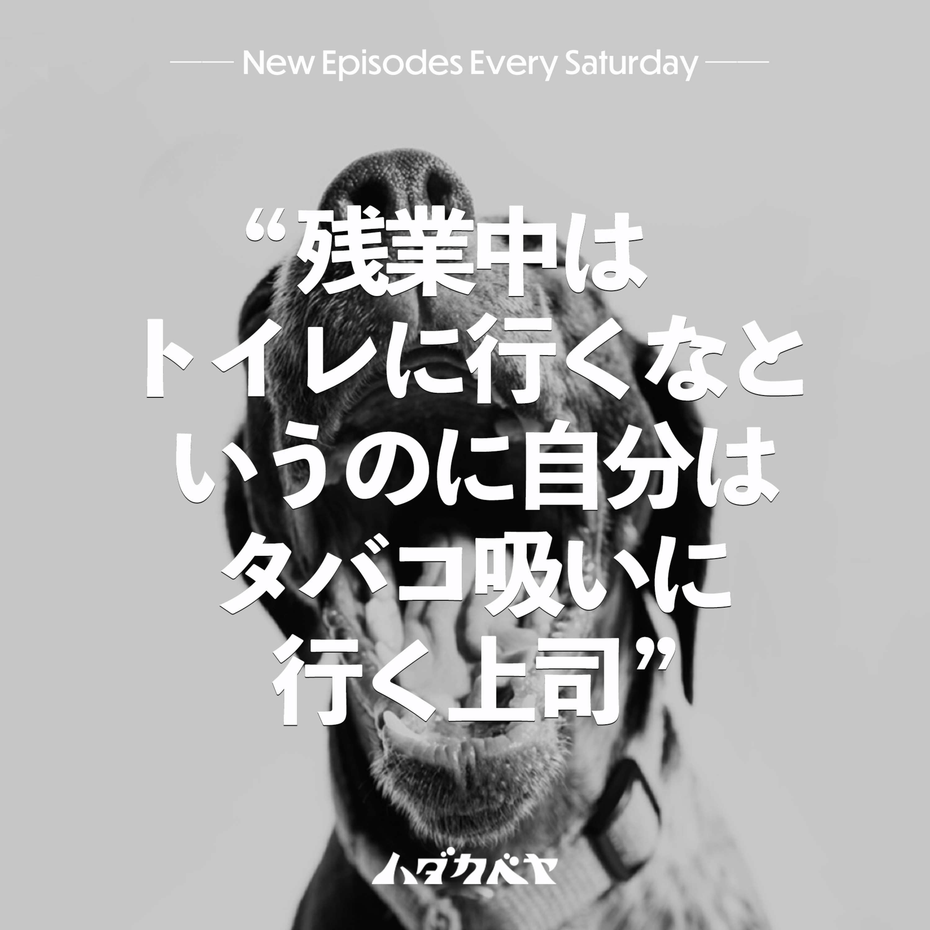 ハダカベヤ