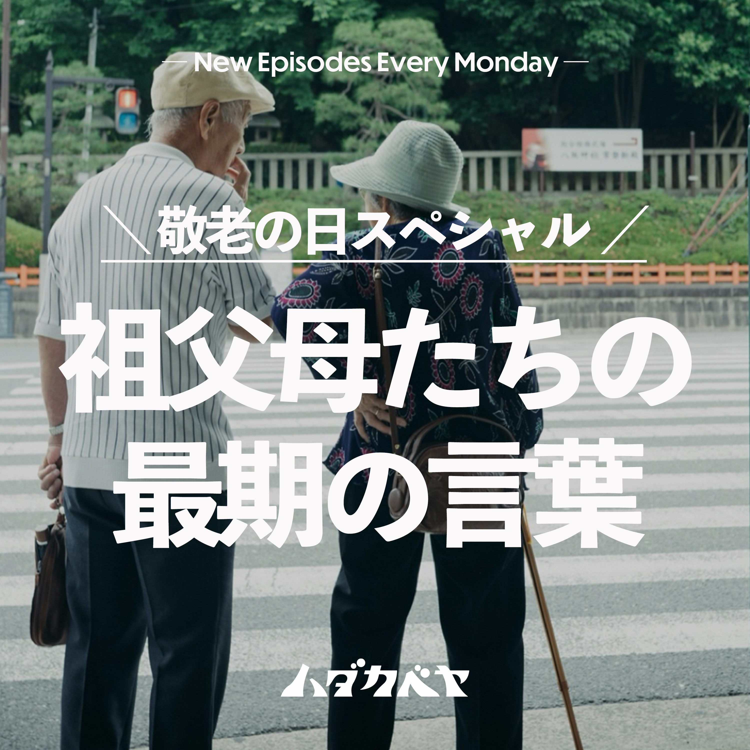 ハダカベヤ