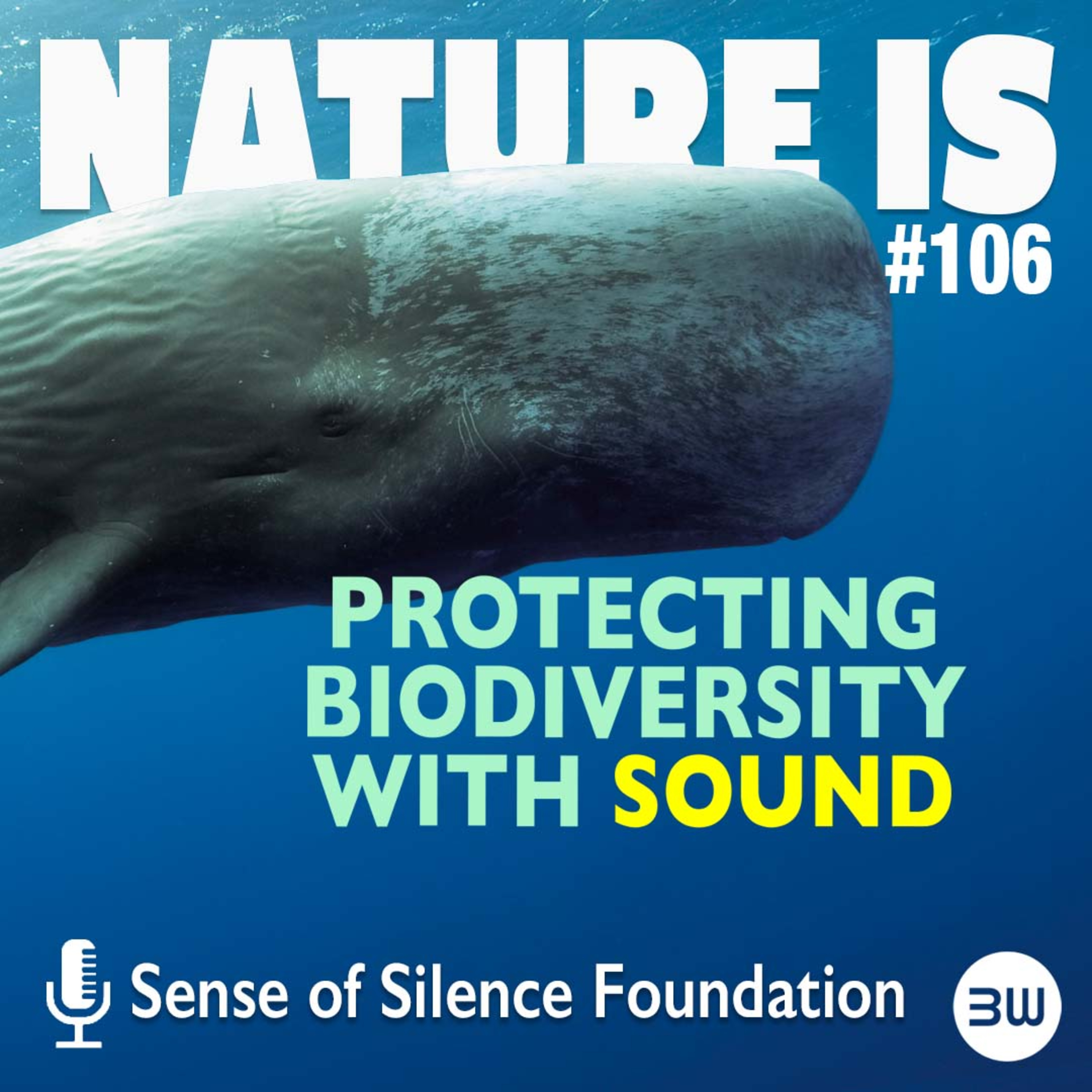 Giving Nature a Voice: The Acoustic Observatories Monitoring Global Soundscapes | Nature Is 106 episode artwork