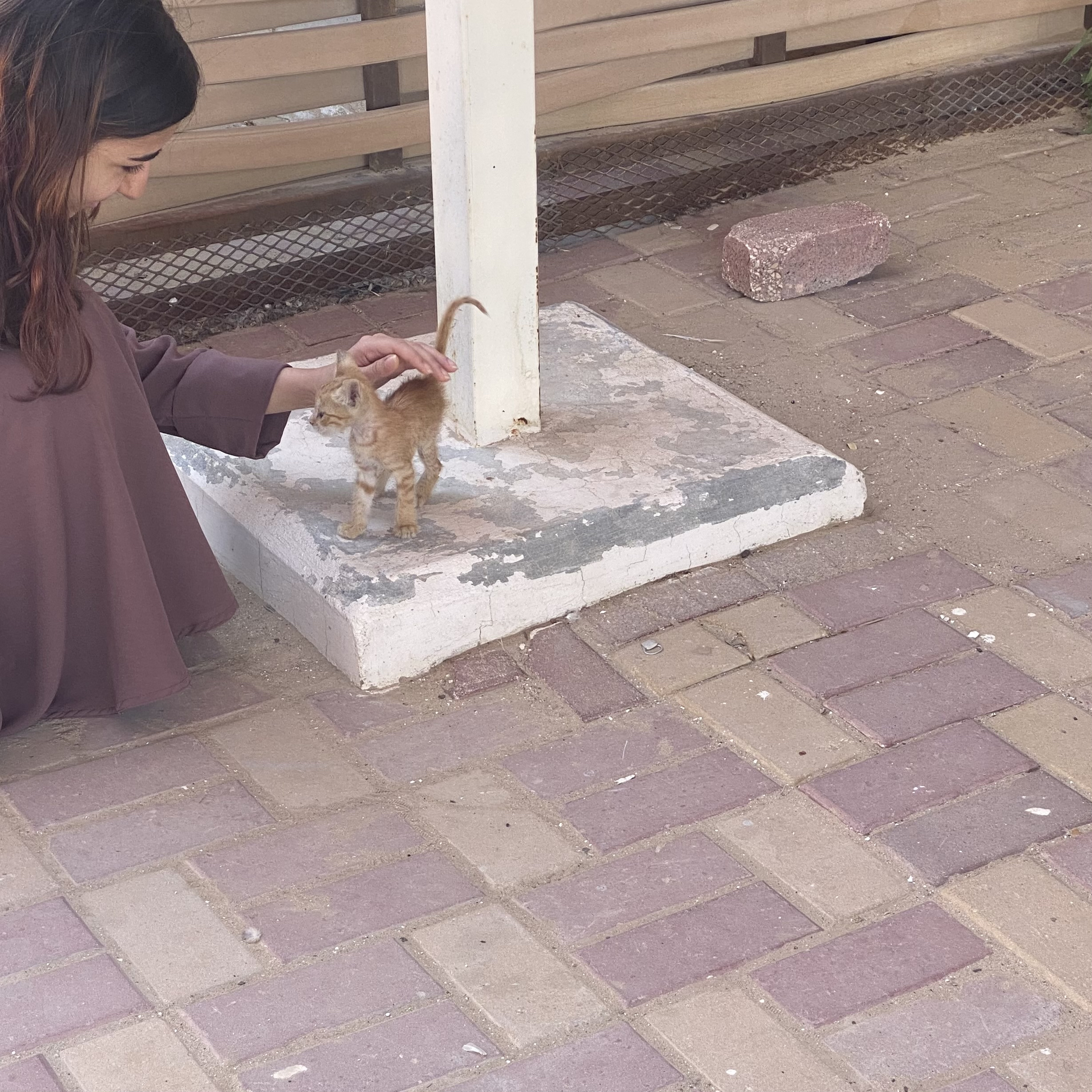 ١٥٠| السحر الأنثويّ 