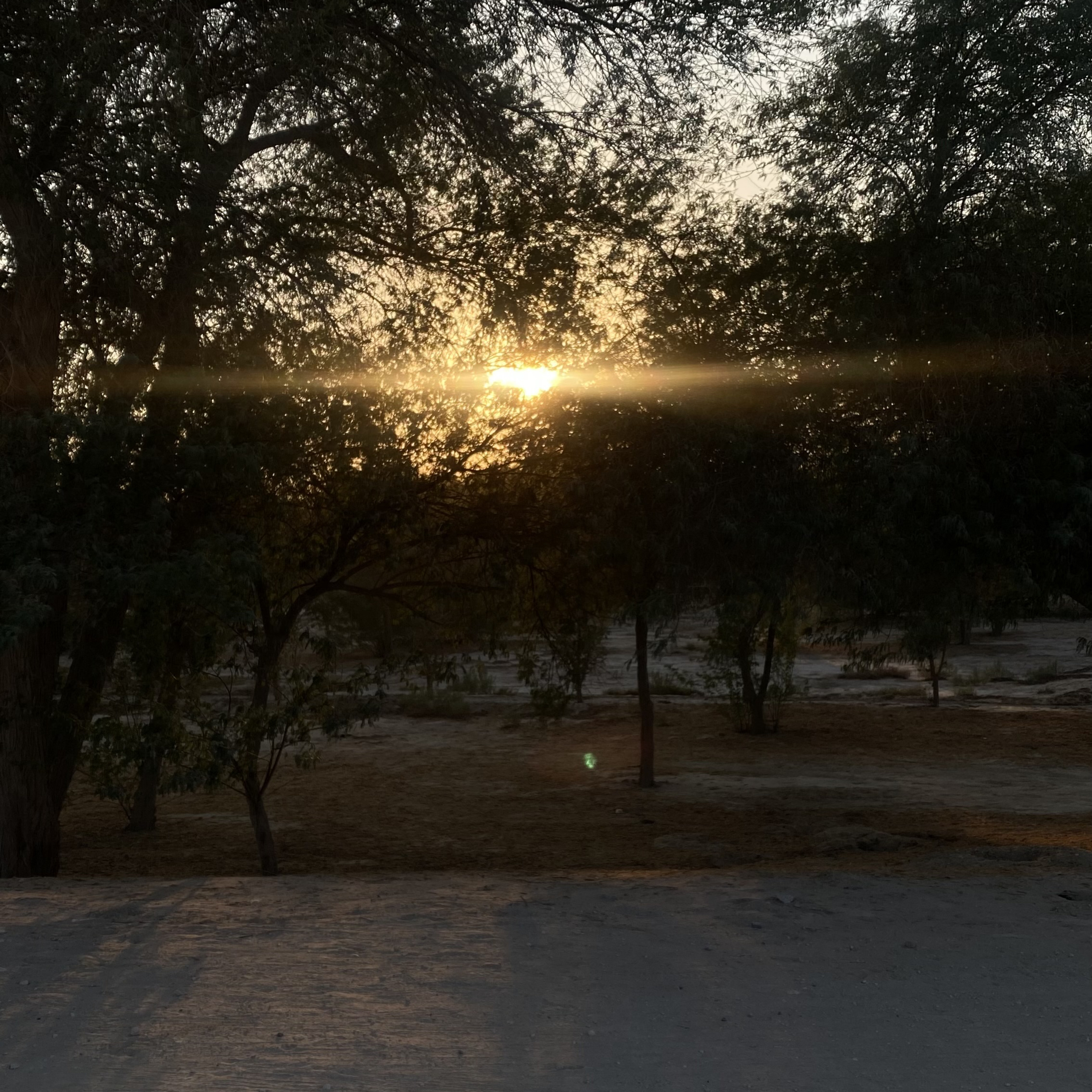 ١٨٢| واجهي مشاكلك بنعومة