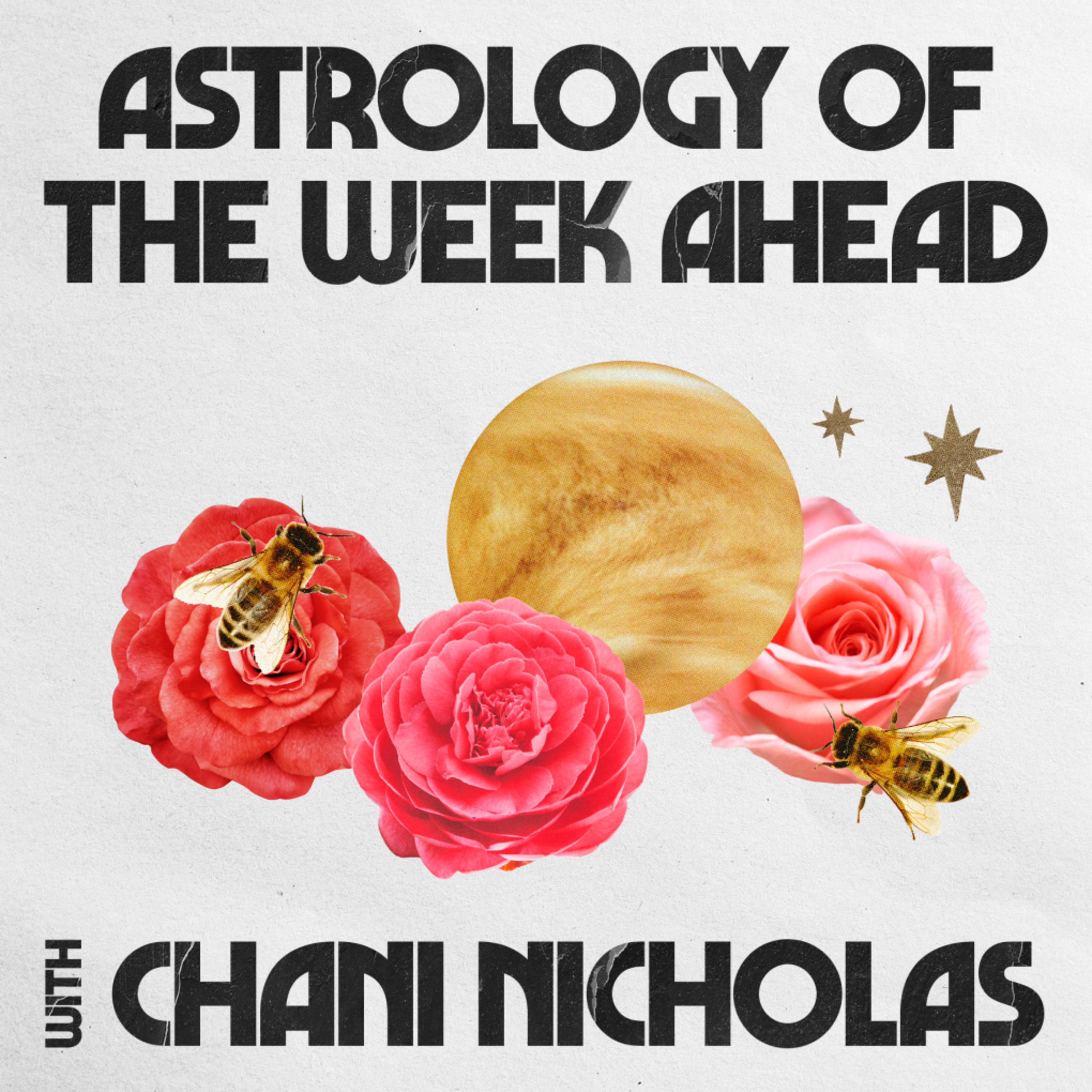 Astrology of the Week Ahead with Chani Nicholas