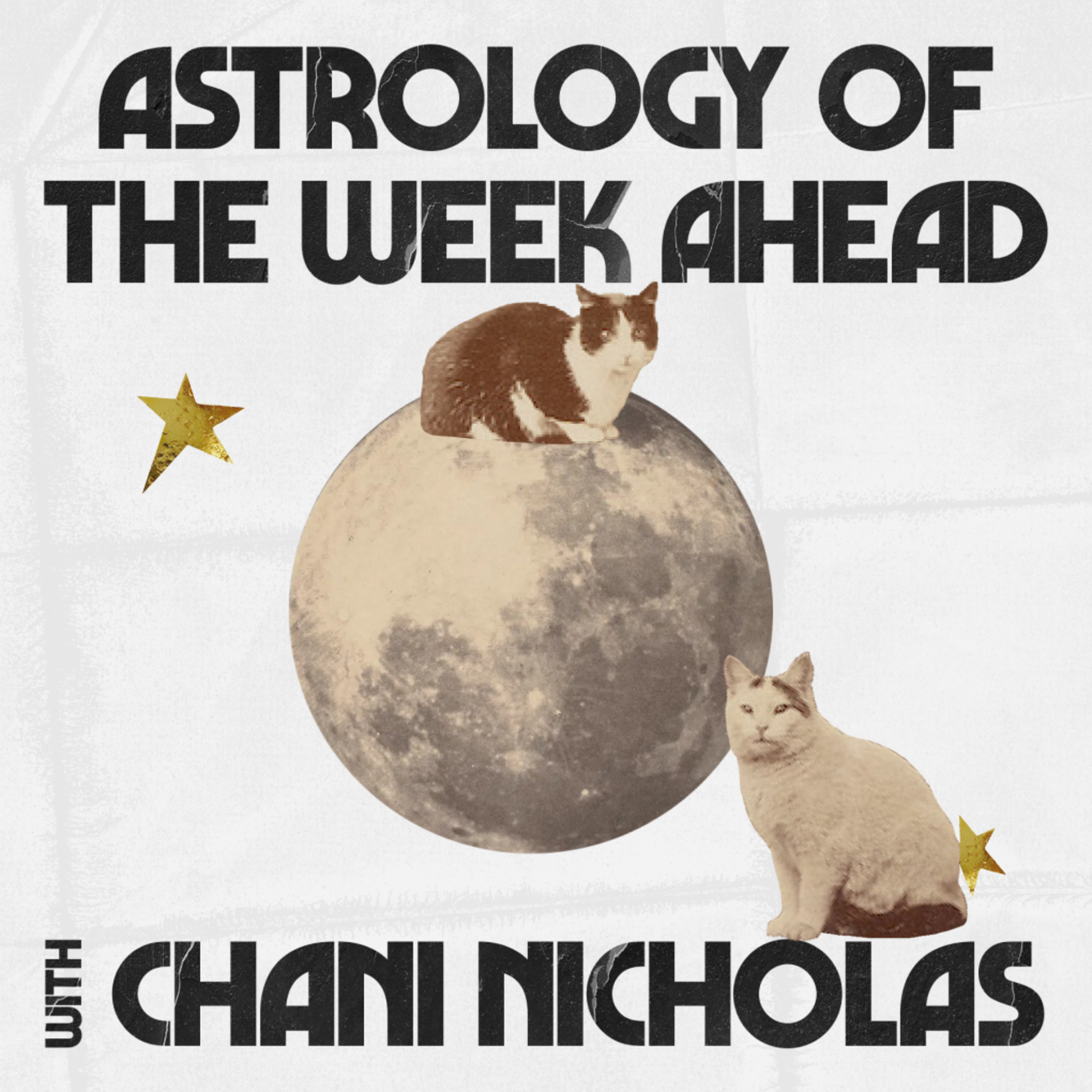 The Week of February 2nd, 2026: Clarity and chaos, courtesy of Uranus in Taurus