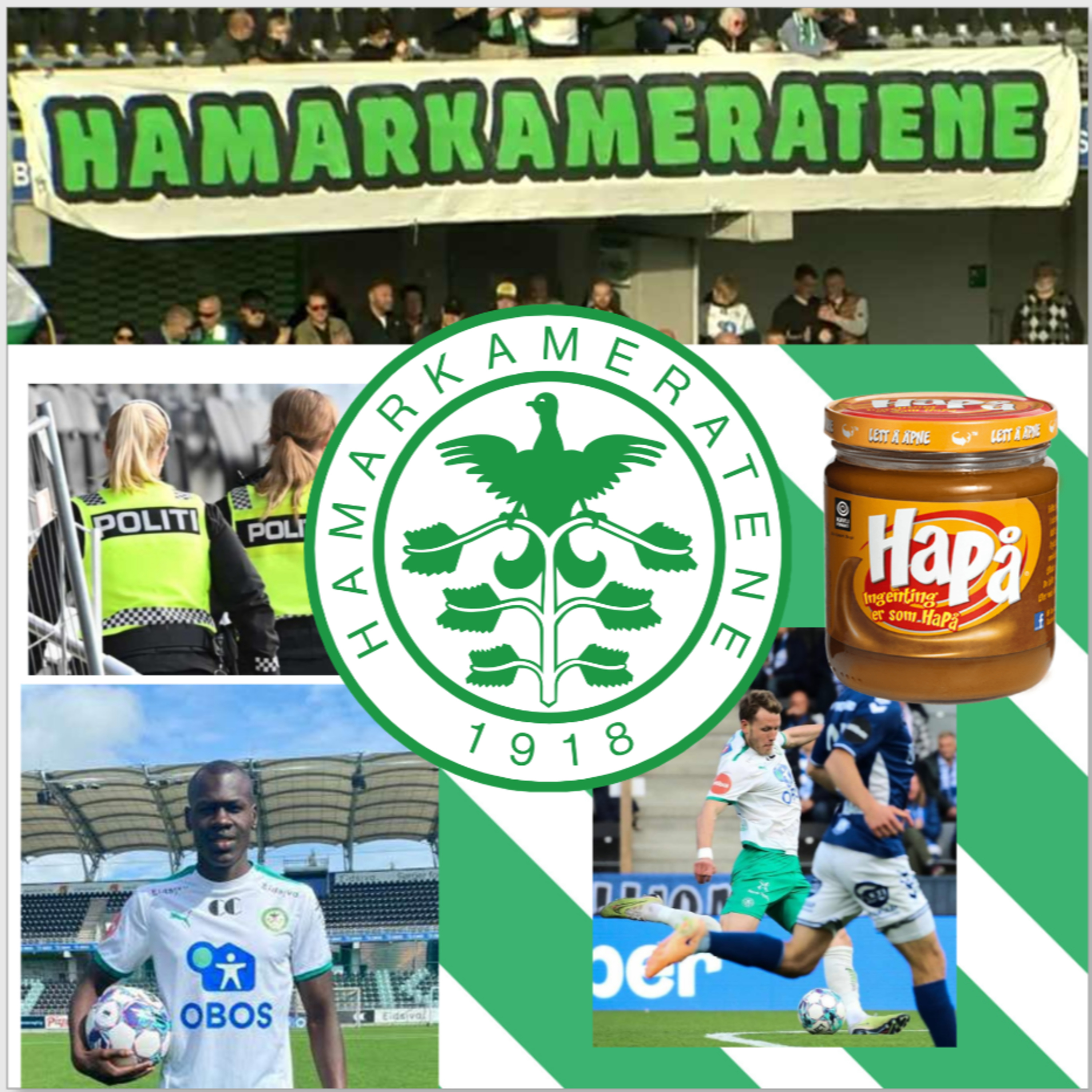 Ham-Kam Studentforening