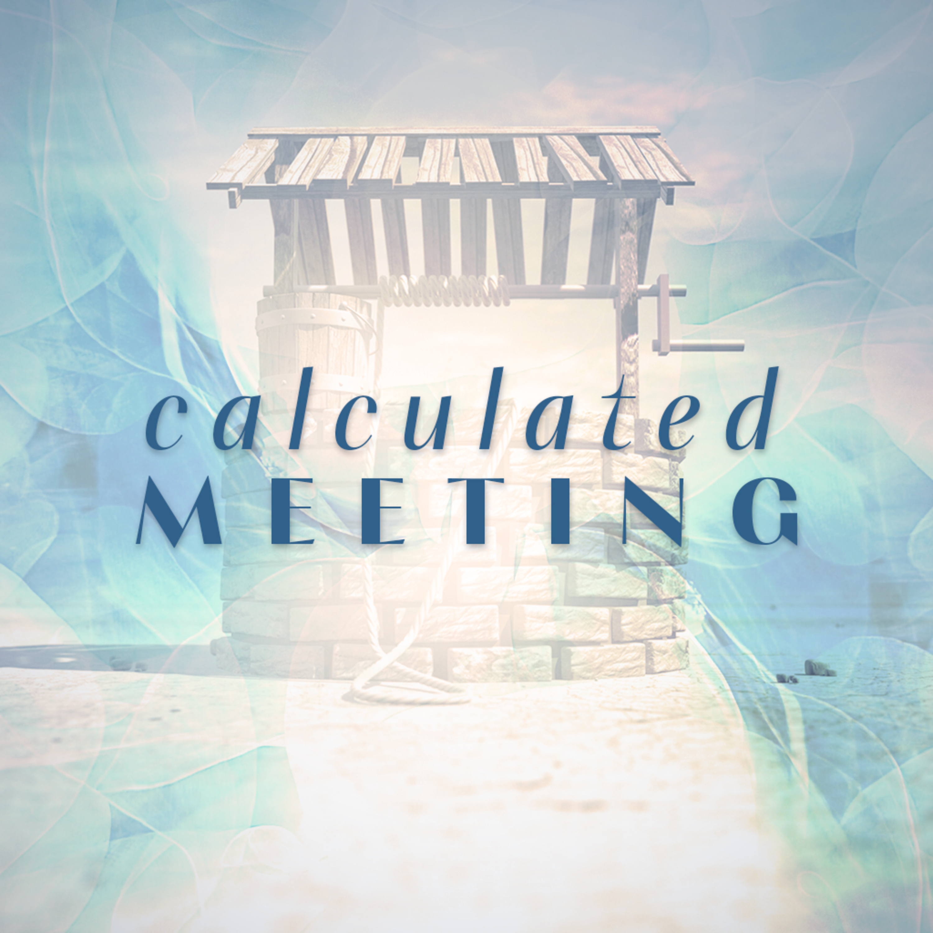 Calculated Meeting episode artwork