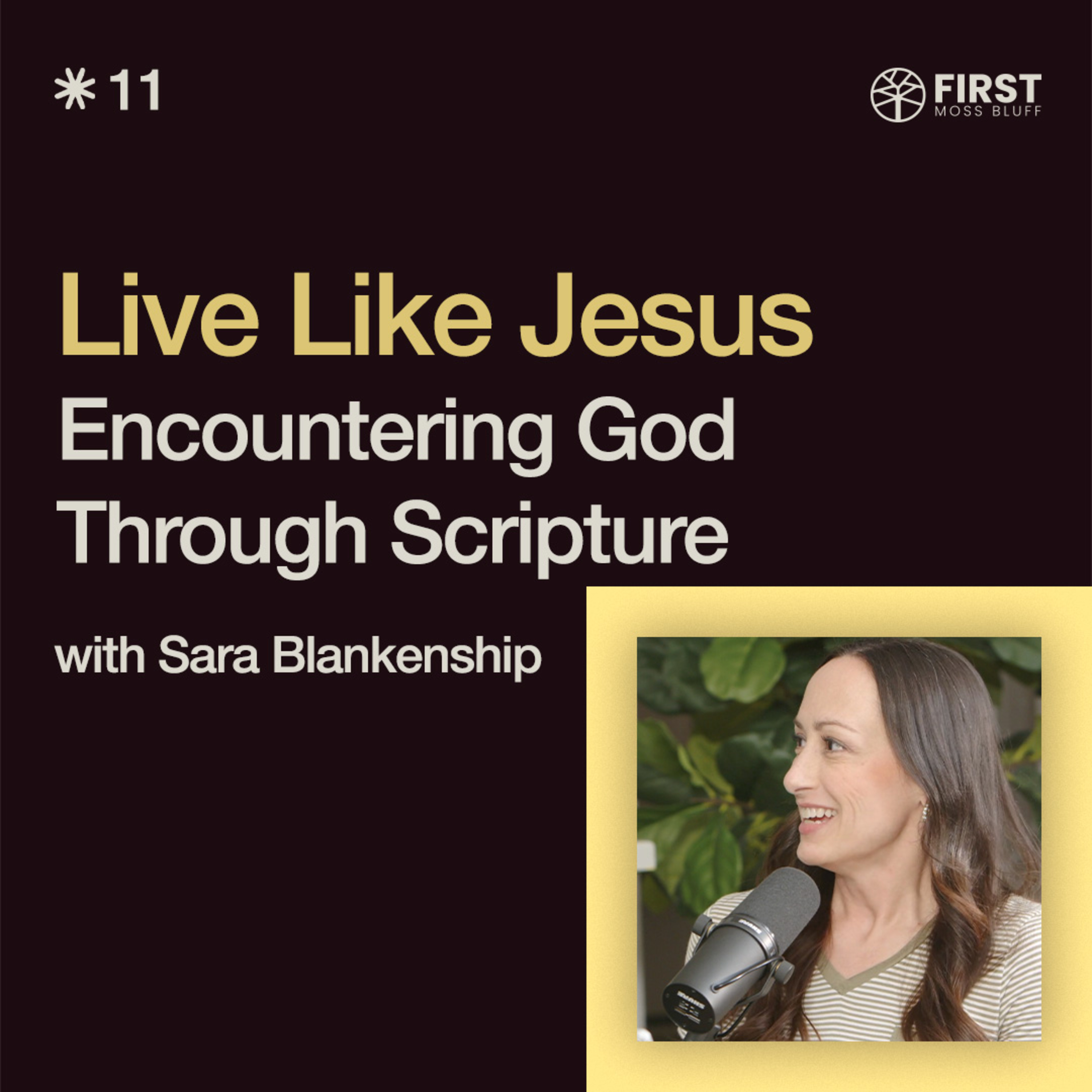 Encountering God Through Scripture | Ep. 11 episode artwork