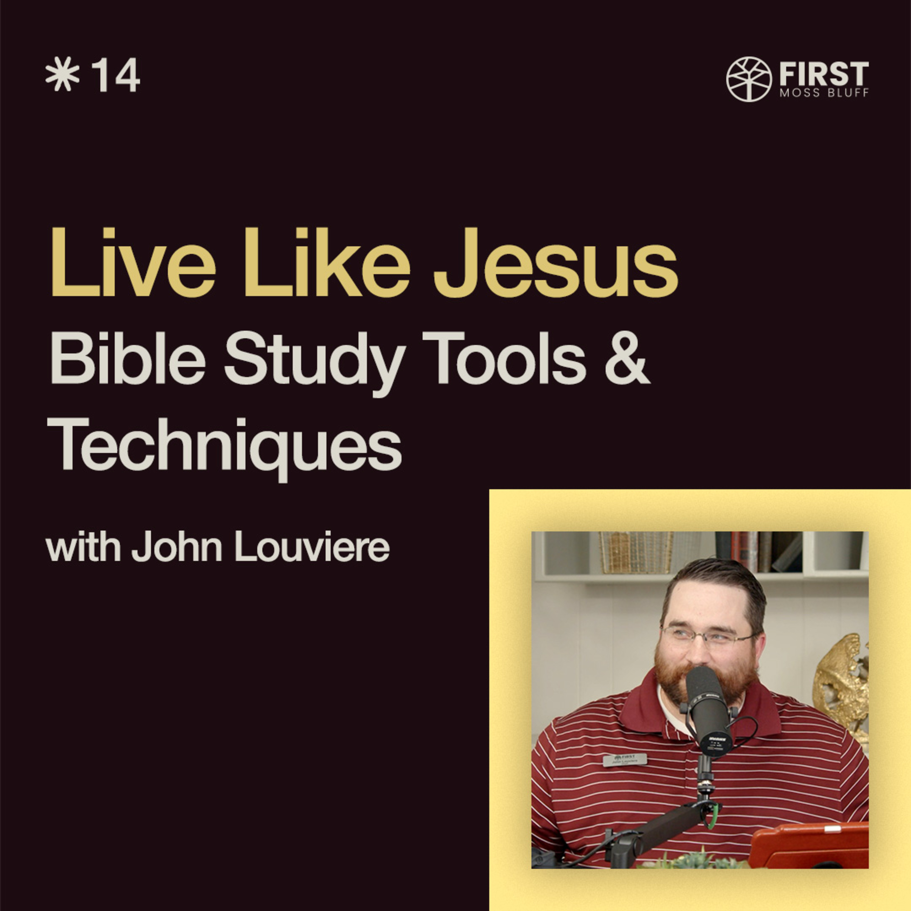 Bible Study Tools & Techniques | Ep. 14 episode artwork