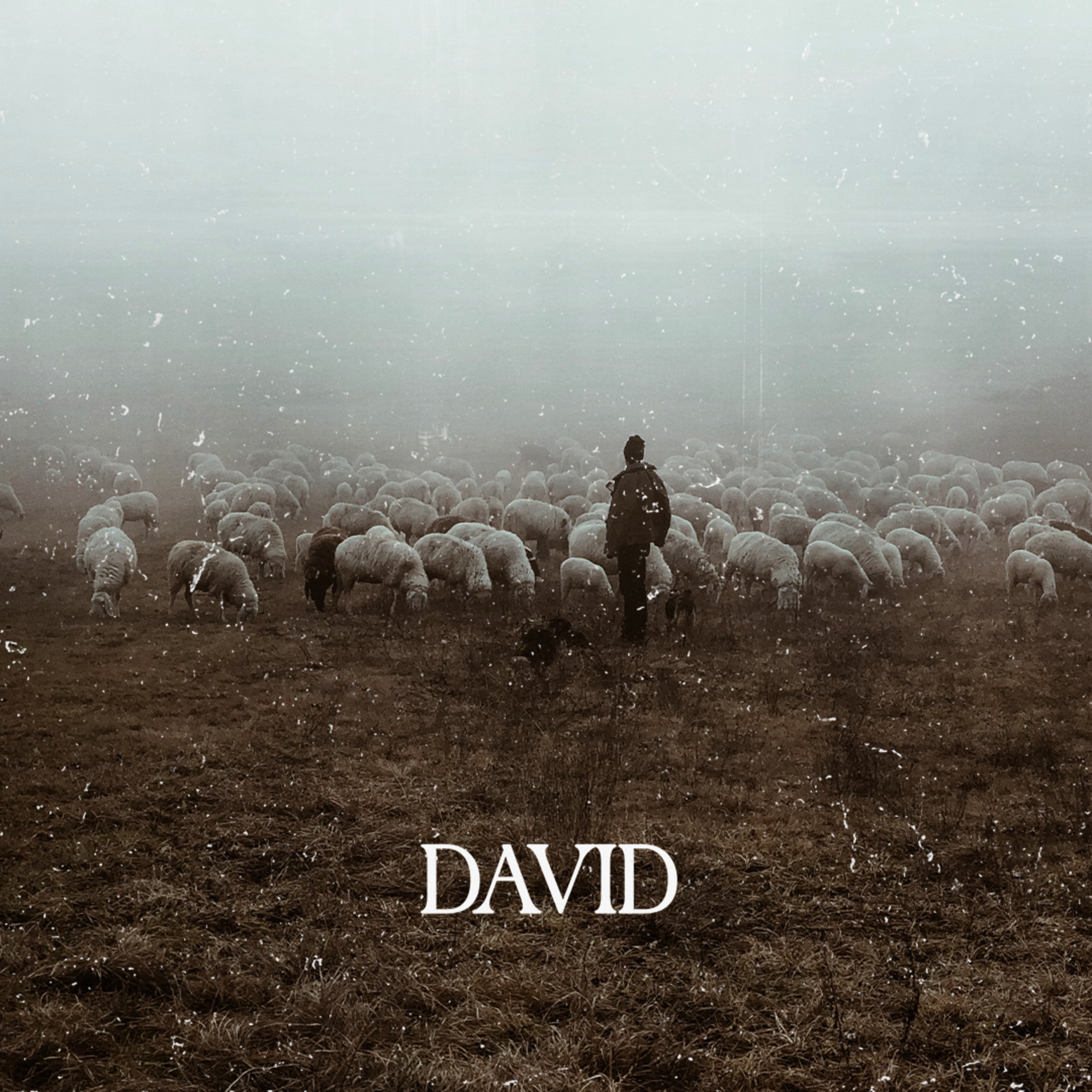 How Do I Practice Faith at Rock Bottom | David episode artwork