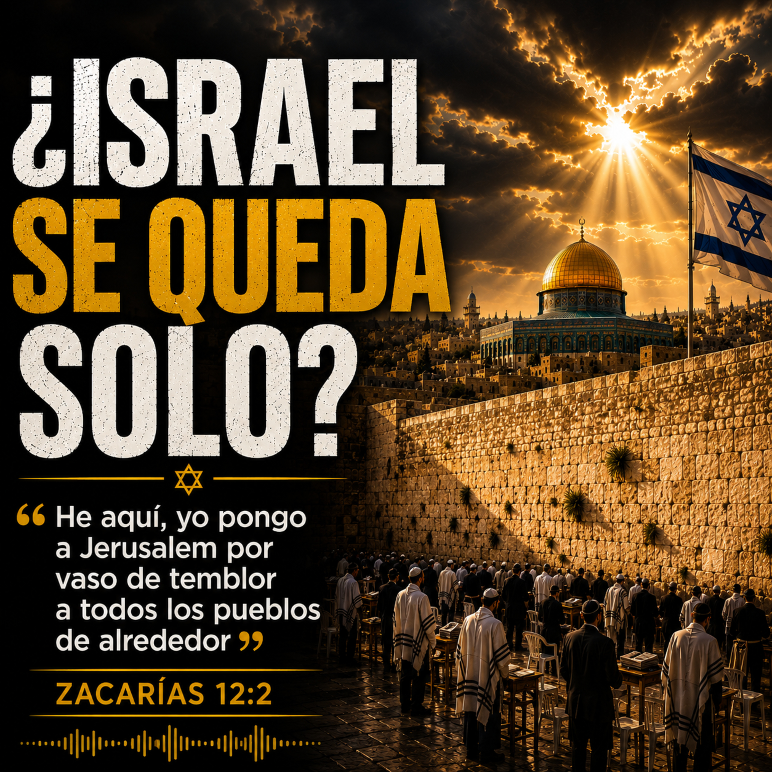 ¿Israel Se Quda Solo? episode artwork