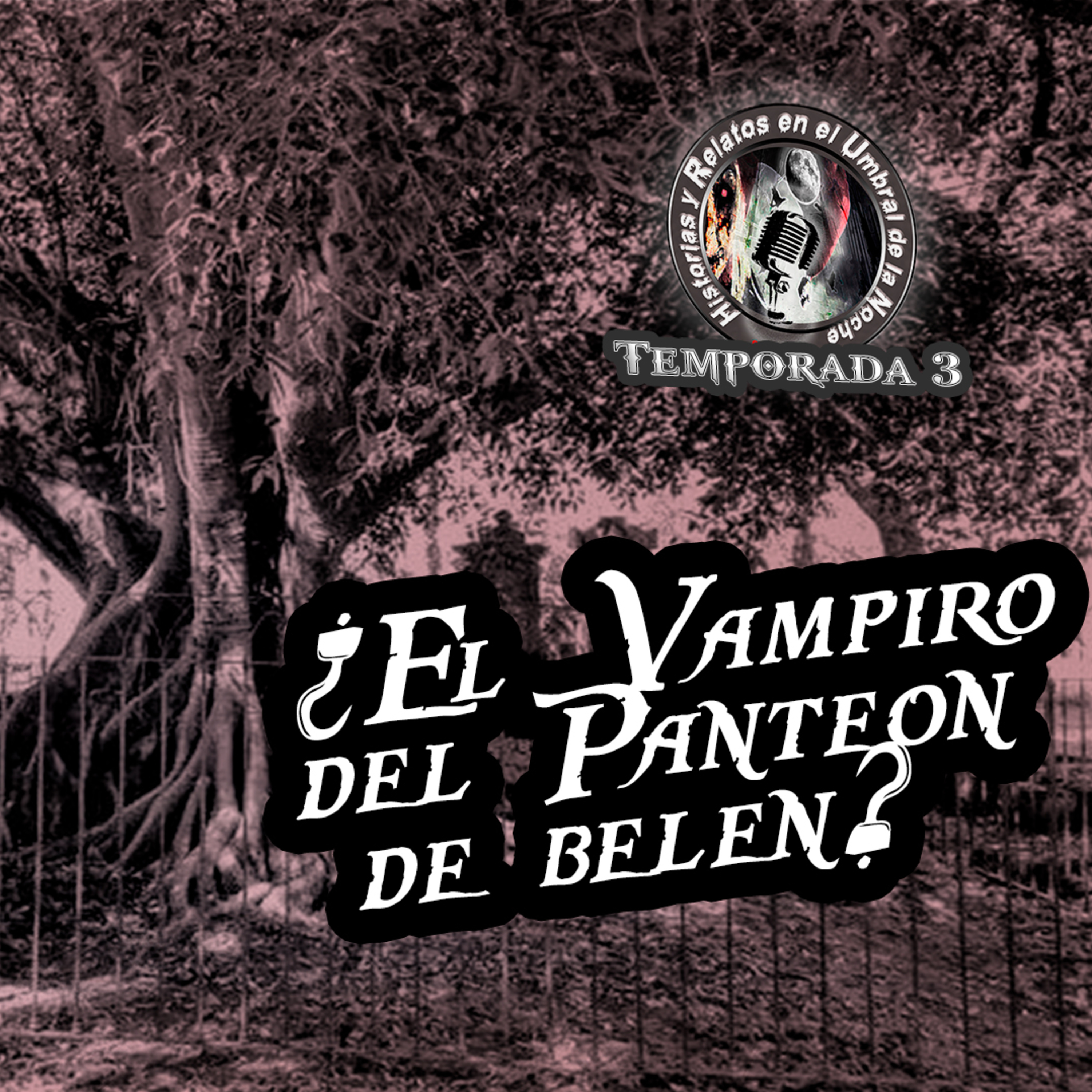 Historias y Relatos en el Umbral de la Noche