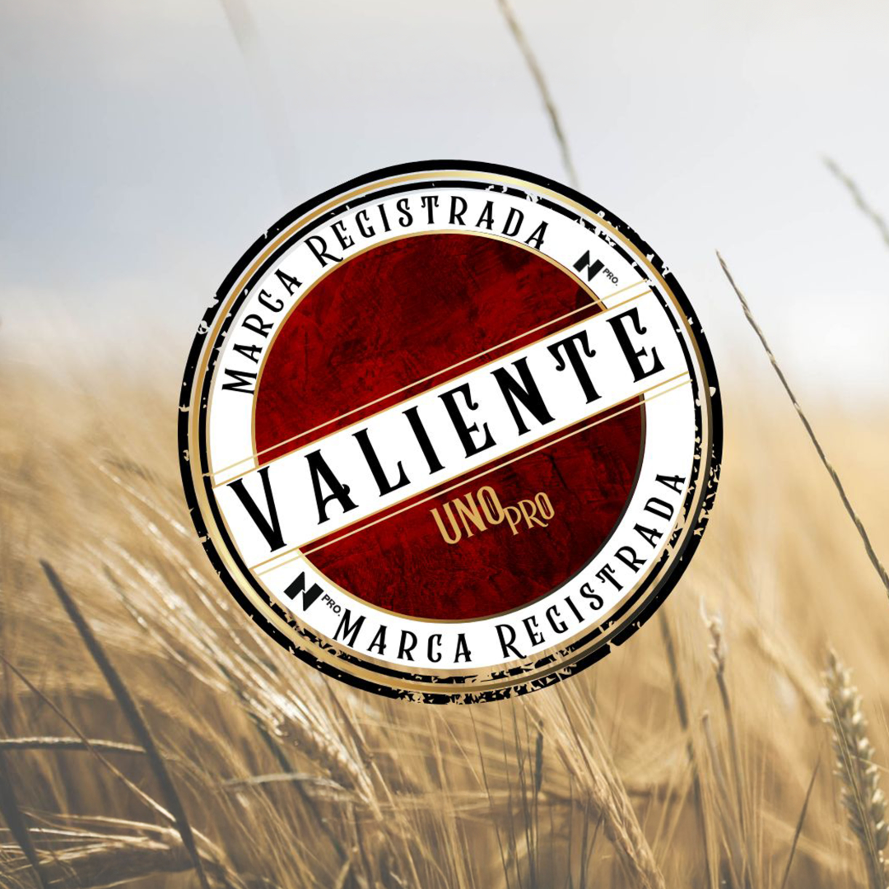 Valiente - Valiente para creer en lo que Dios dice de ti (Pt.1) episode artwork