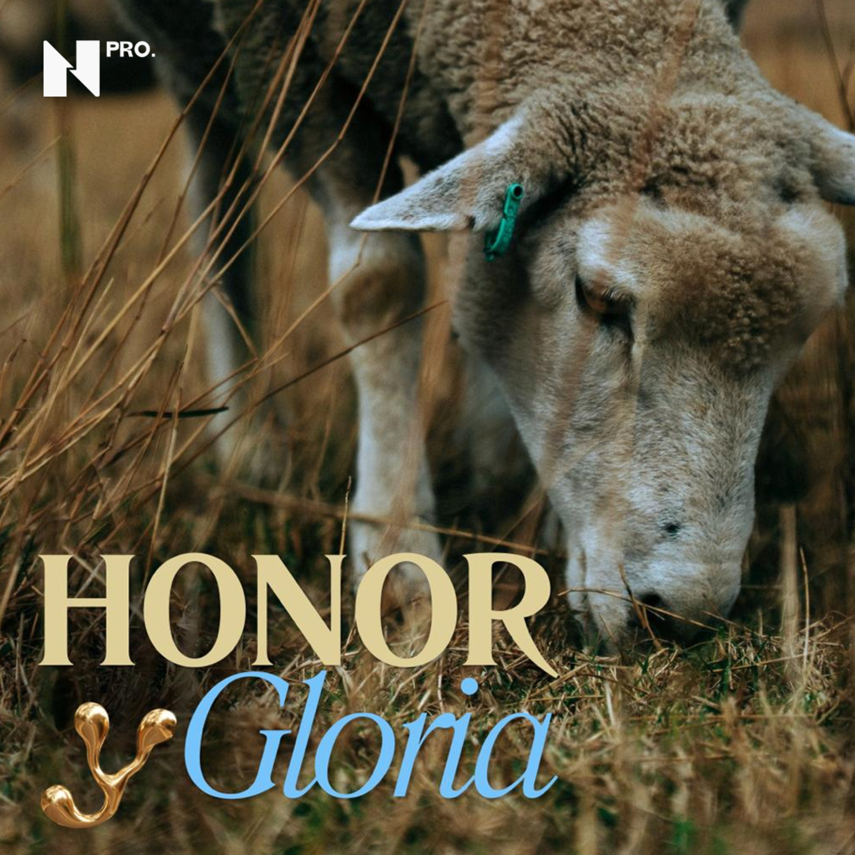 Honor y gloria - Resiliencia (Pt.4) episode artwork