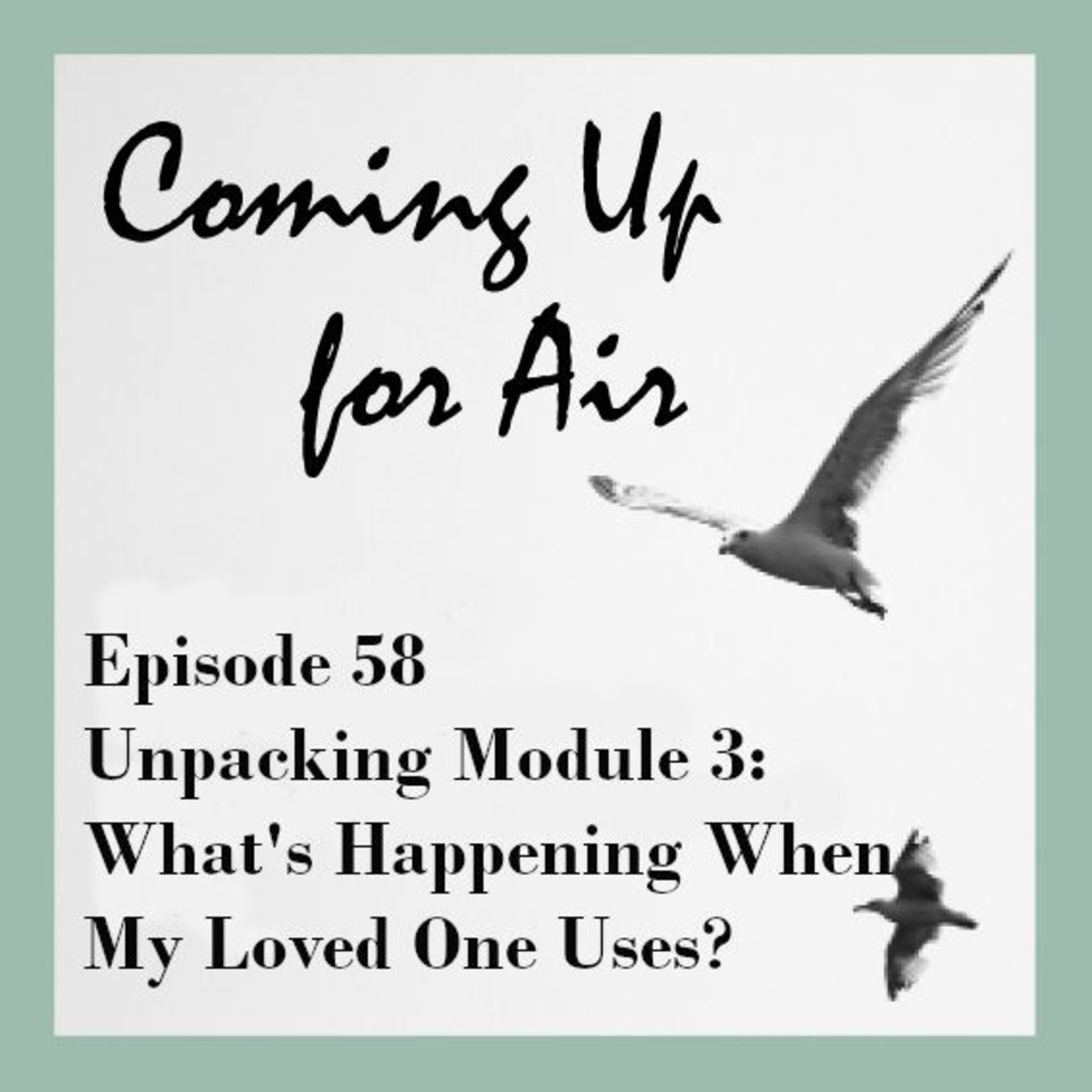 Podcast #58 Unpacking Module 3: What's Happening When My Loved One Uses? episode artwork