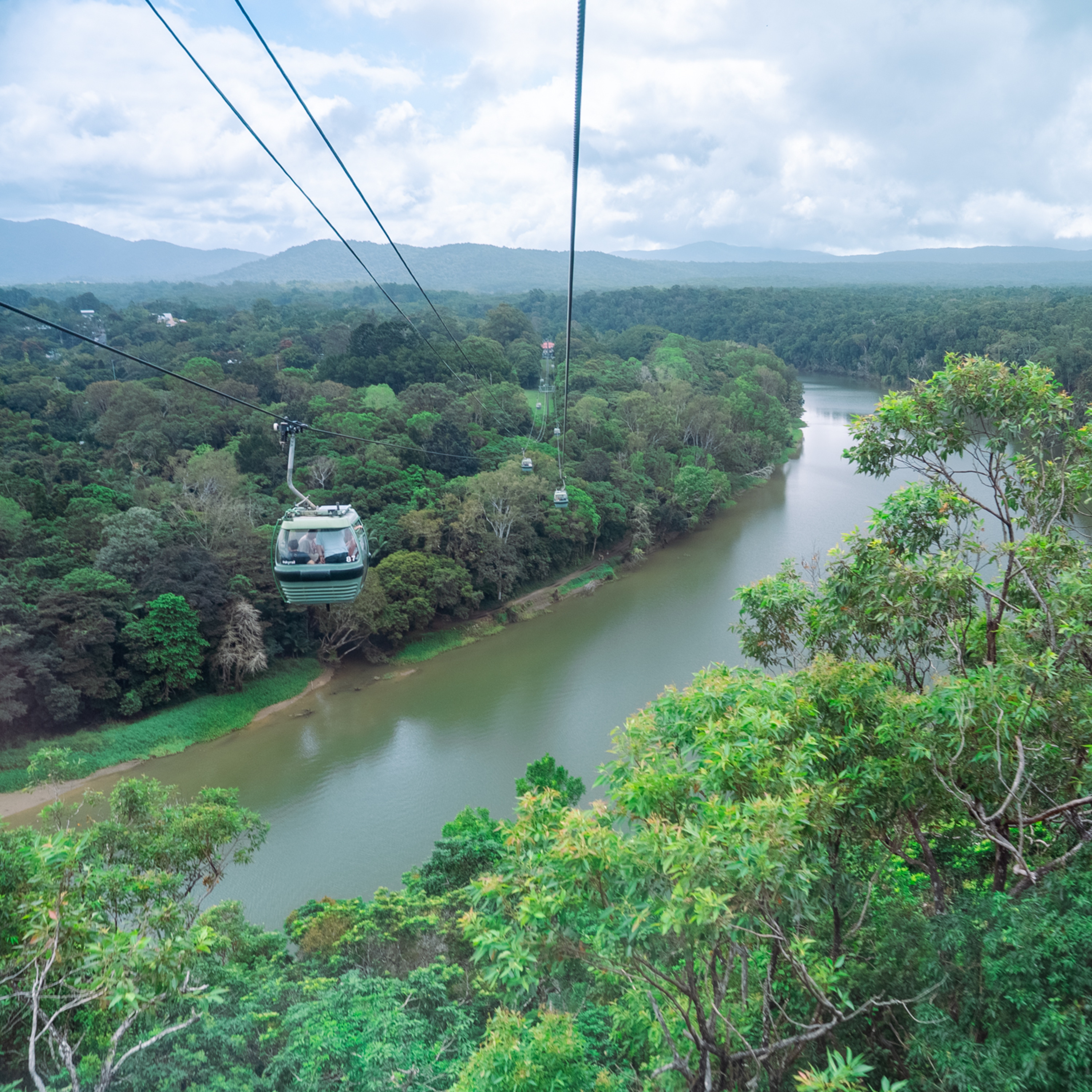 ep.436 熱帯雨林をゴンドラで！眠気も吹き飛ぶ絶景体験