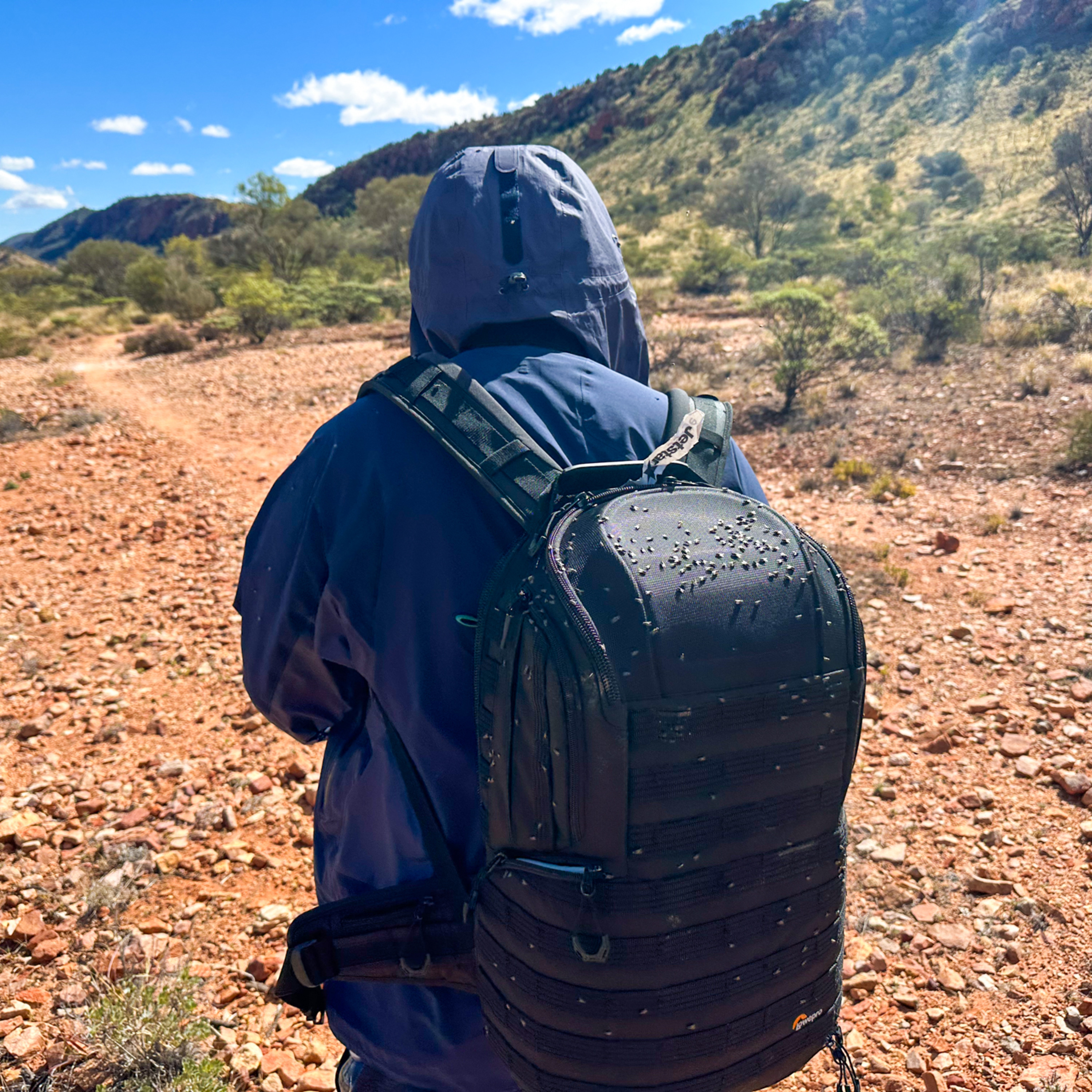 ep.448 ハエ100匹に囲まれパニック！悲劇のハイキング