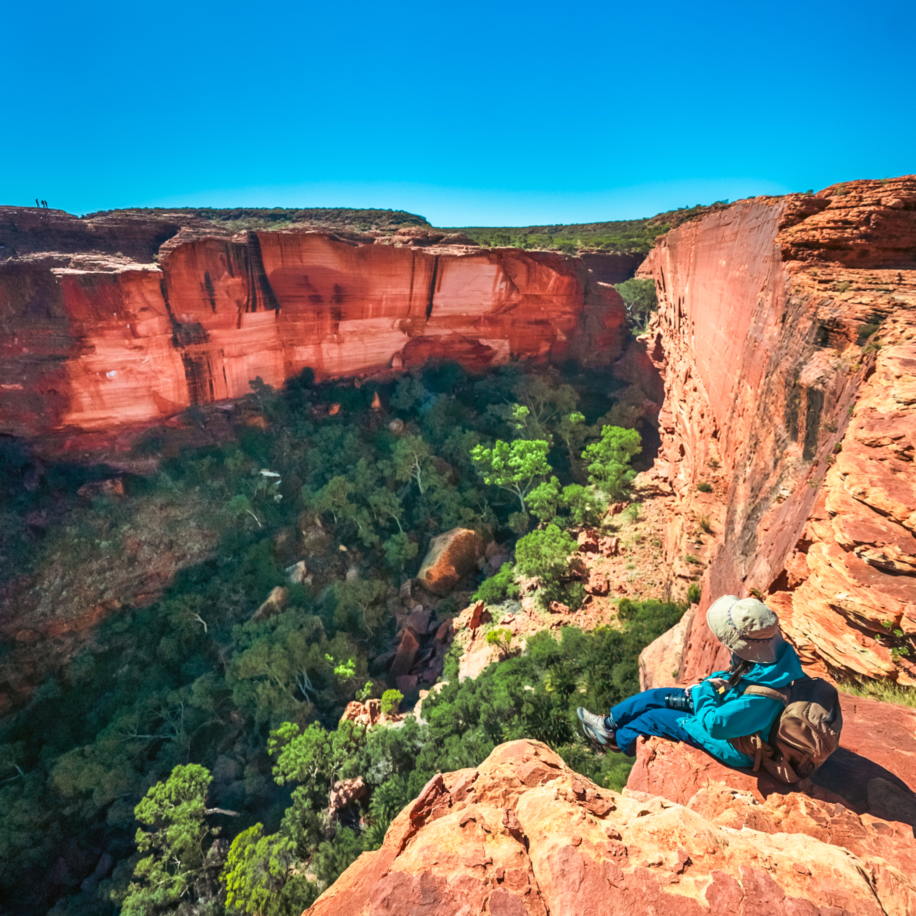 ep.452 原始の地球みたいな景色に唖然…キングスキャニオンで絶品おにぎり