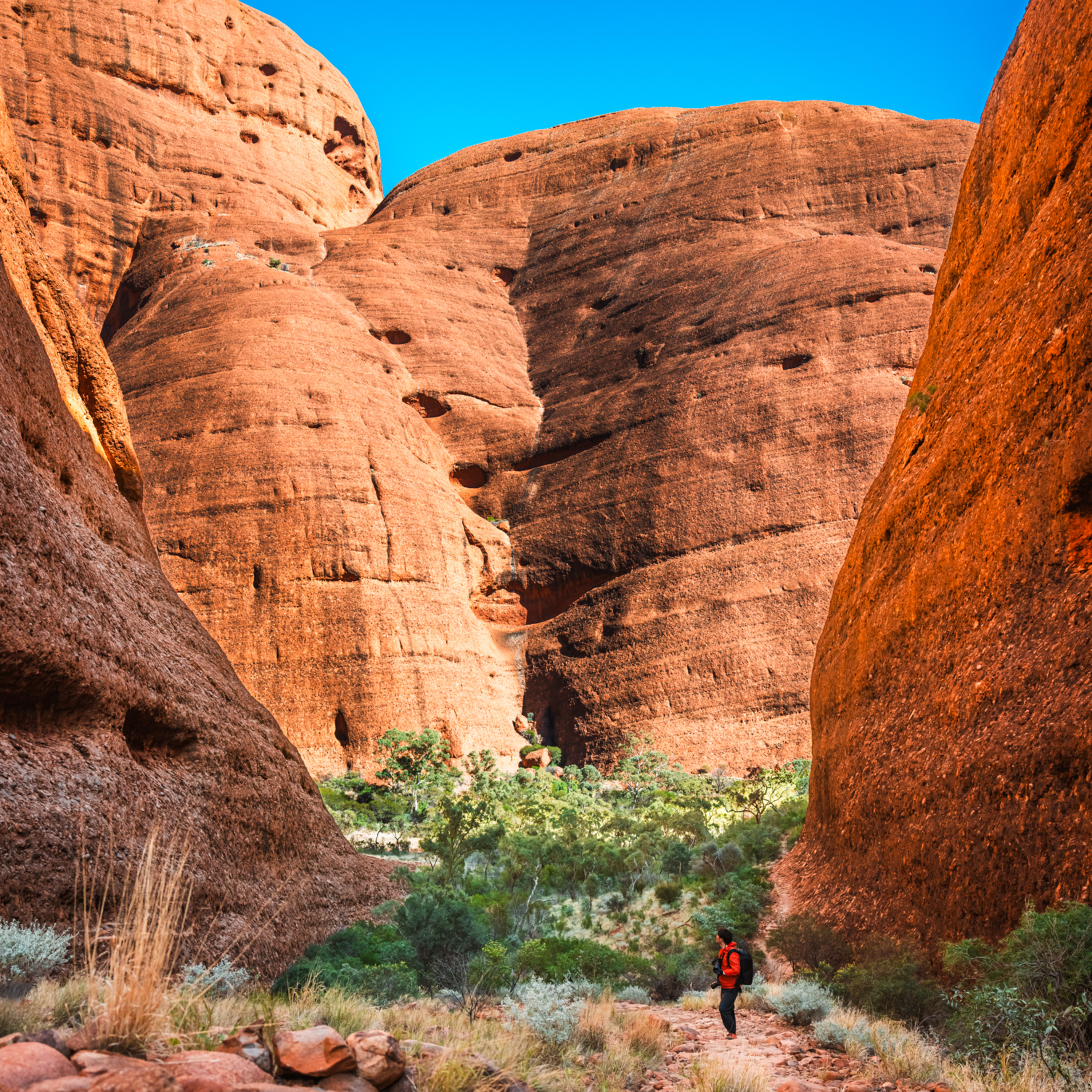 ep.455 ナウシカのモデル？風の谷カタ・ジュタでトレッキング