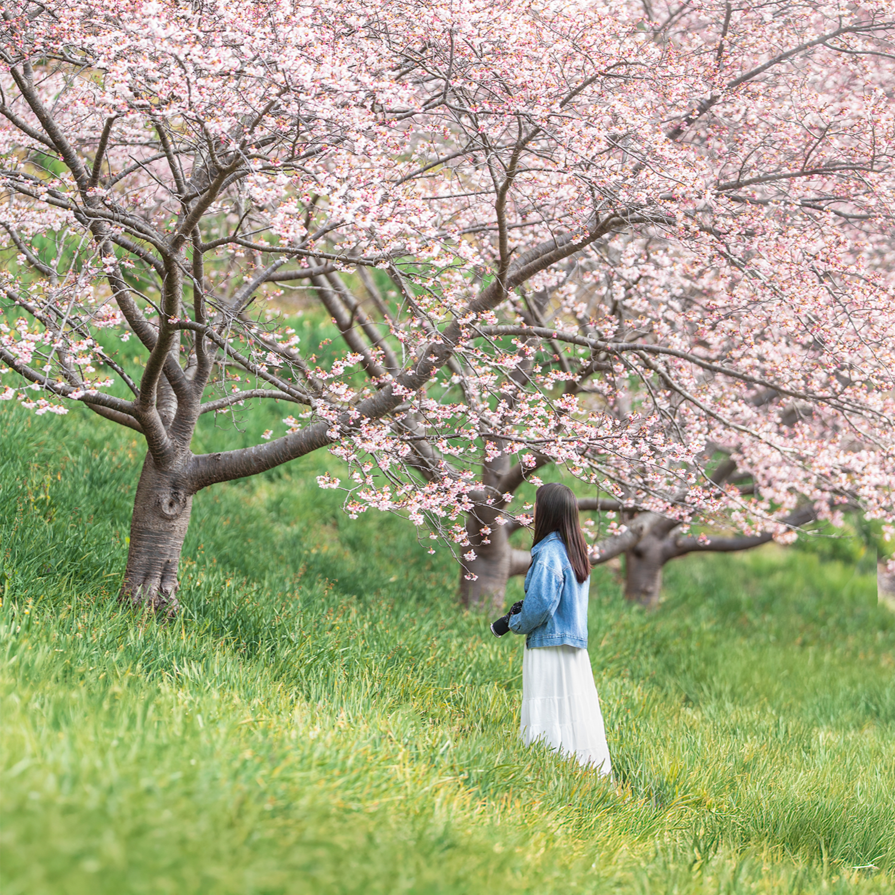 ep.481 花粉MAXの中、春の合宿スタート！秘境ハウスの手入れって大変