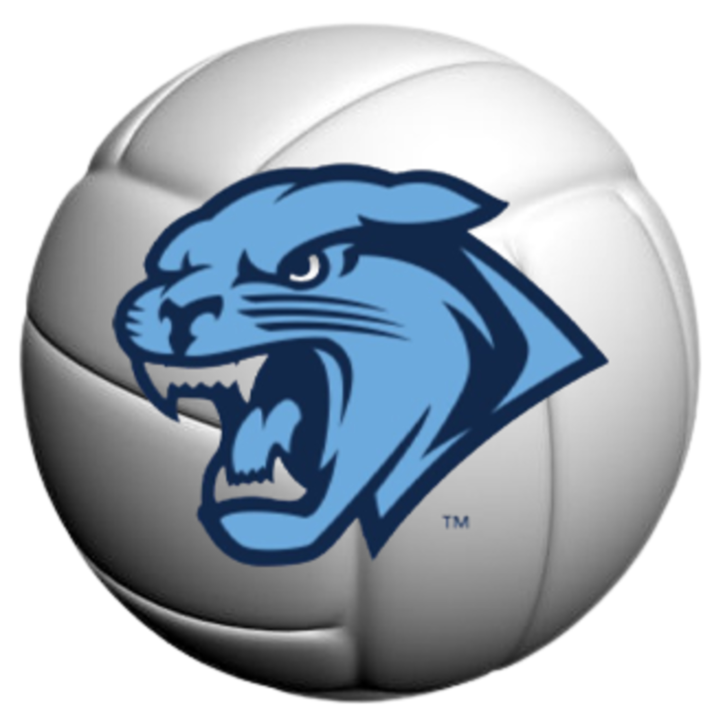 MEMORIAL PANTHERS Fan Zone episode artwork
