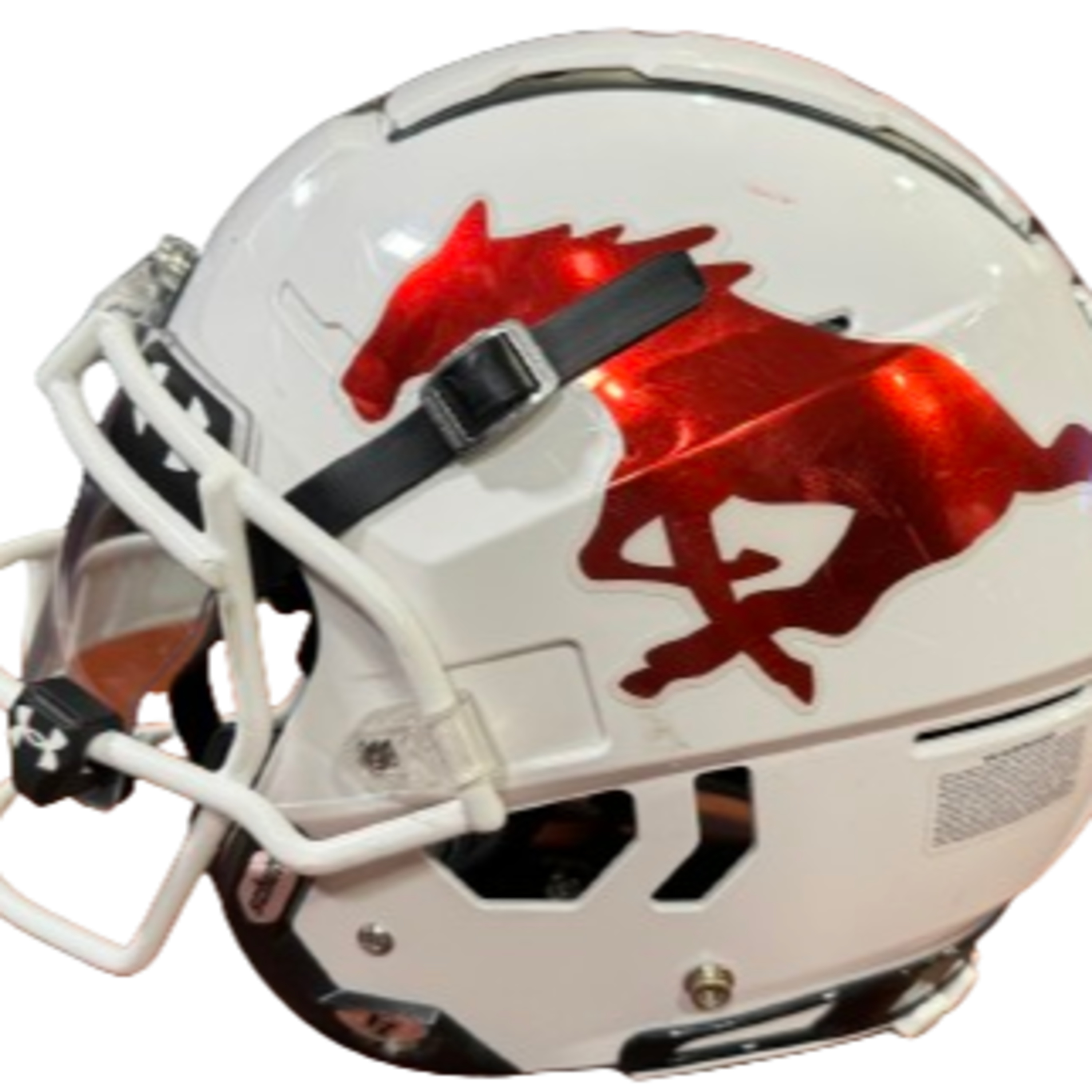 CORONADO Mustang Fan Zone episode artwork