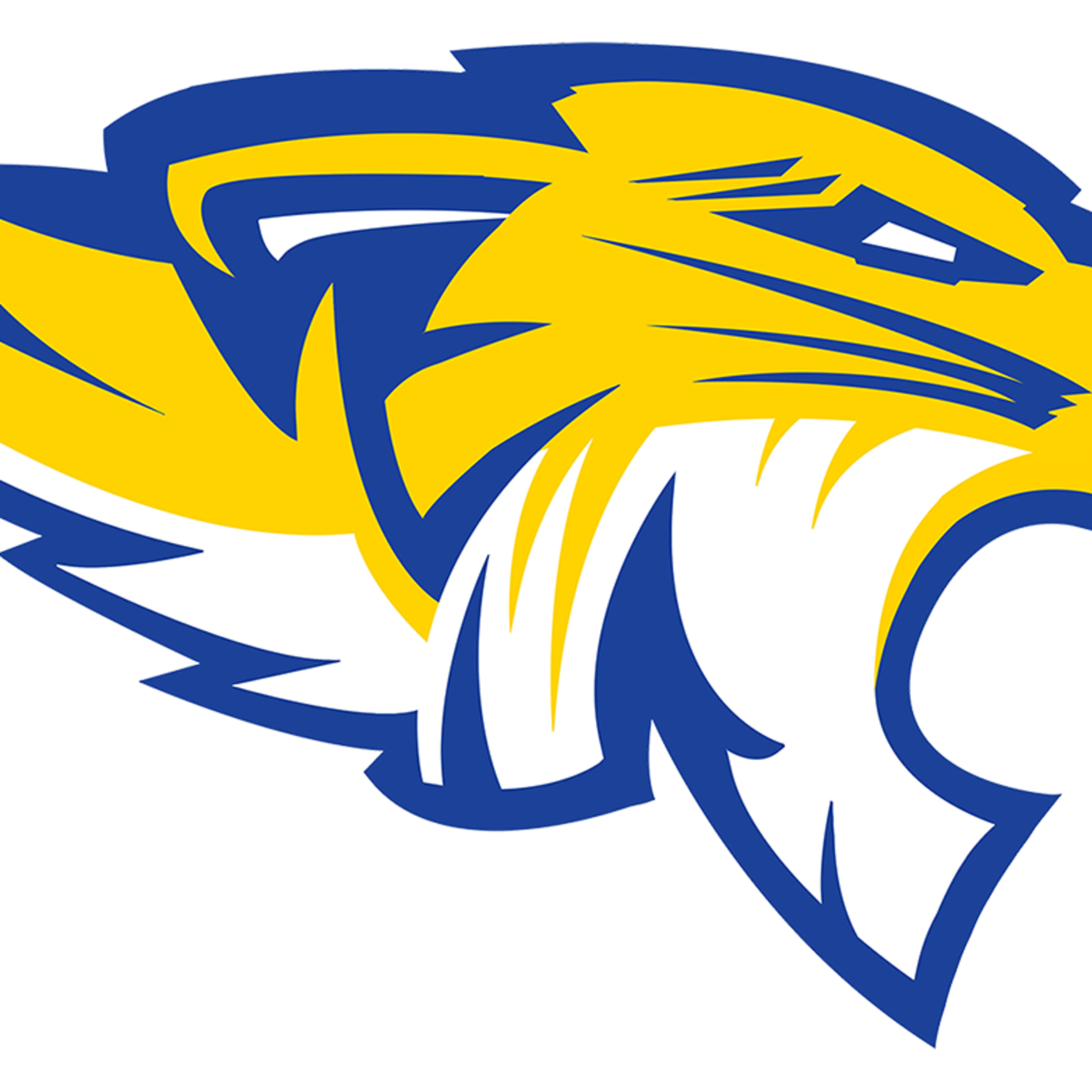 TIGER TRACKS | Football coach Jay Northcutt episode artwork