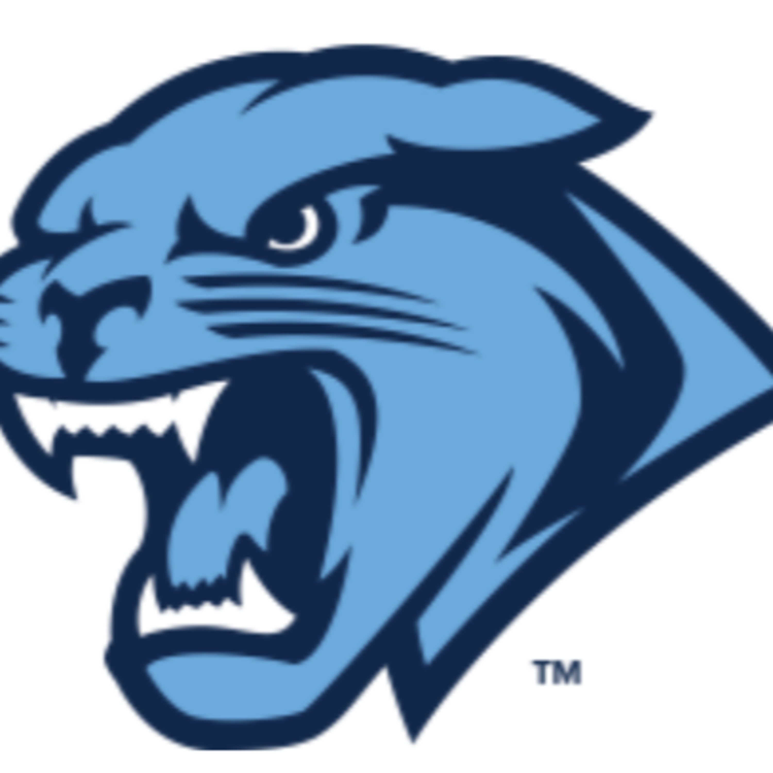 PANTHER PAWS | Football coach Jason Richards episode artwork
