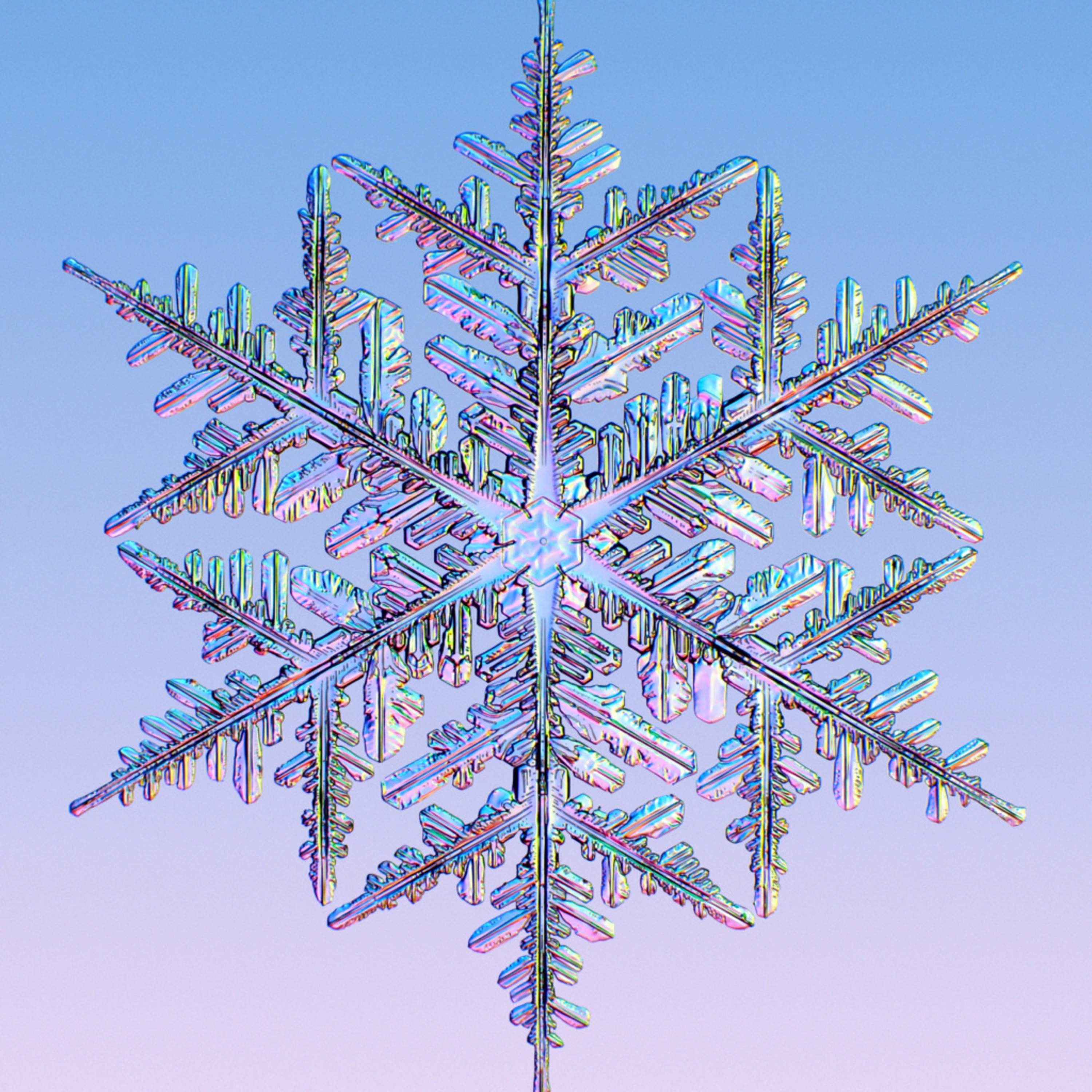 The Double Disillusionists