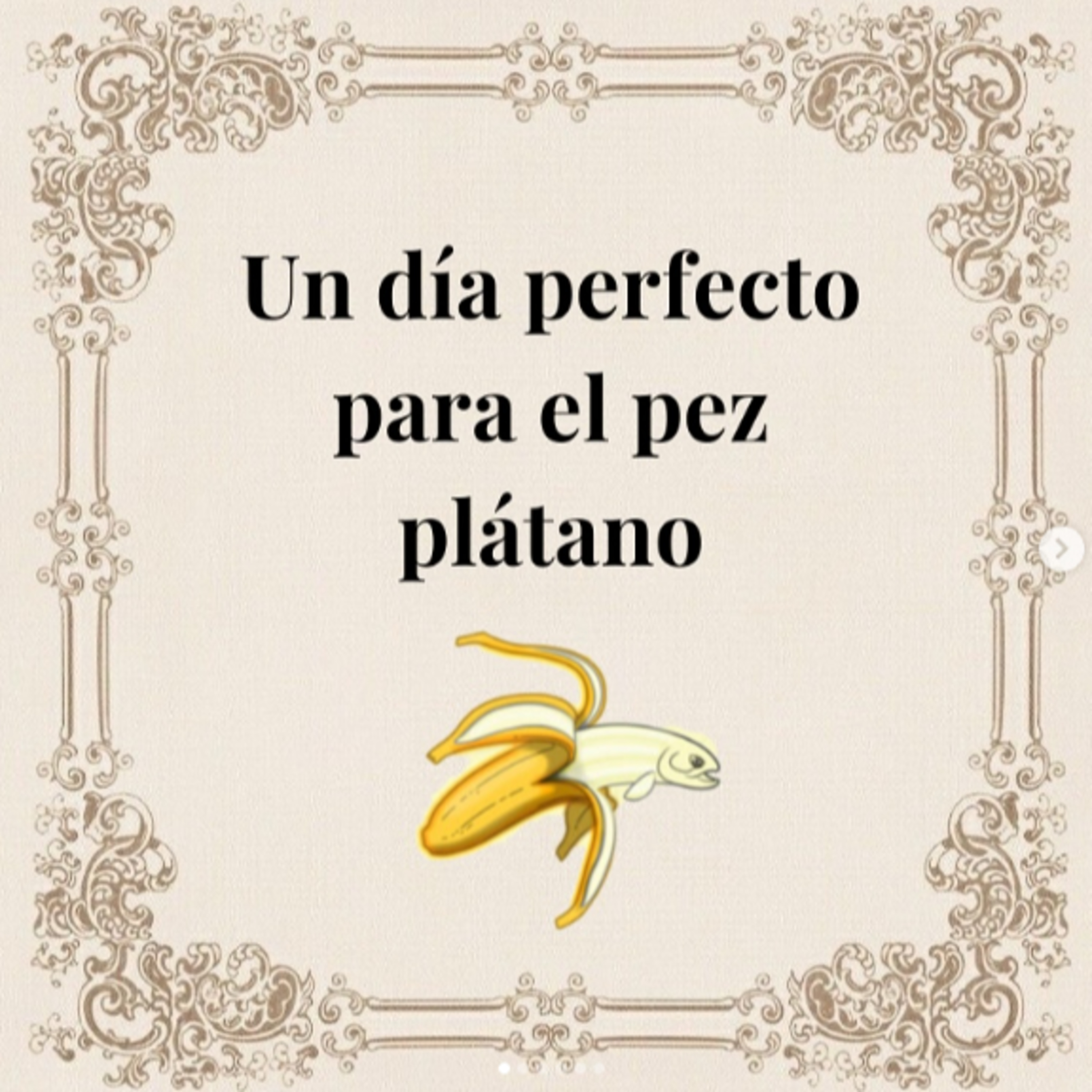 Portada de Hoy toca libro