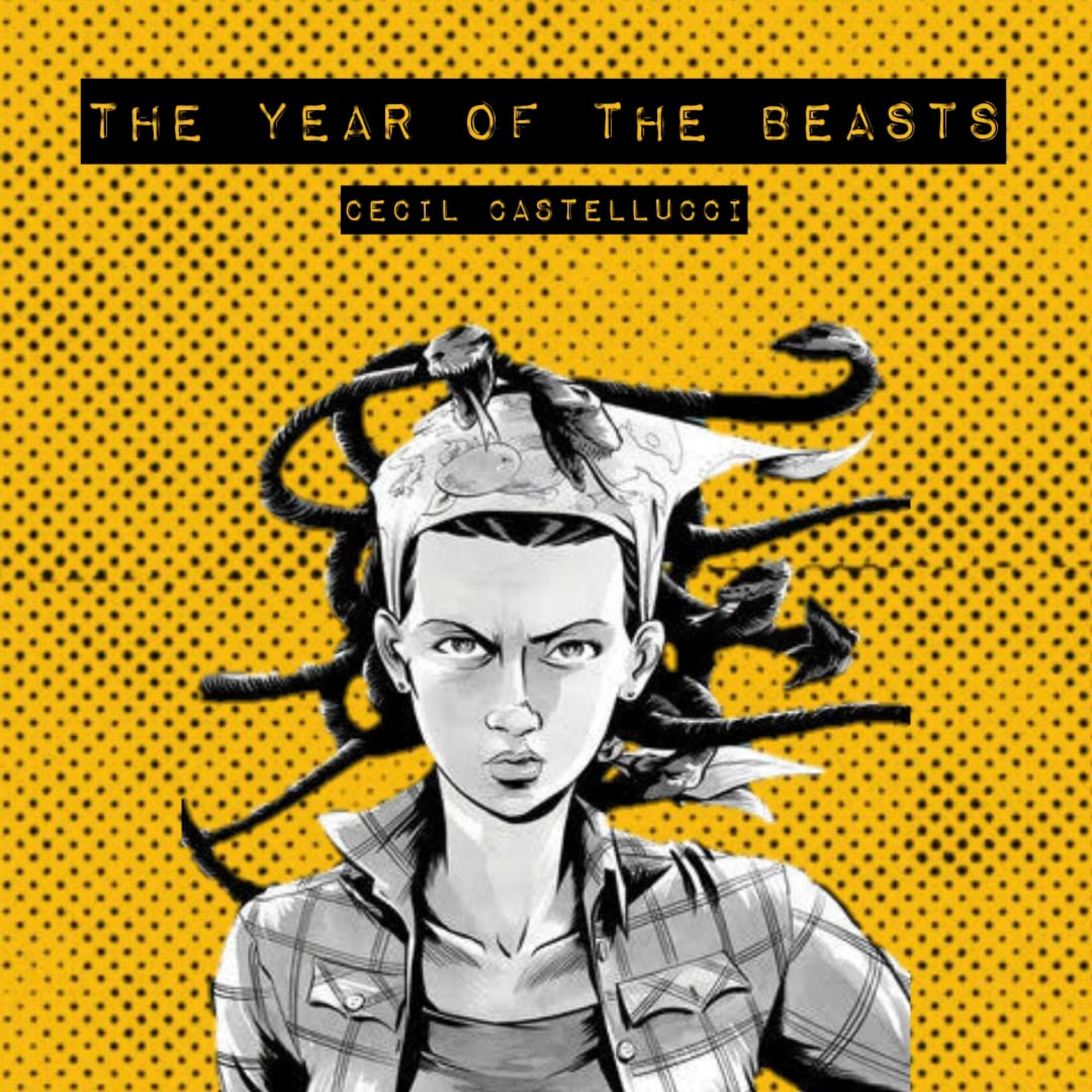 The Year of The Beasts, Cecil Castellucci episode artwork