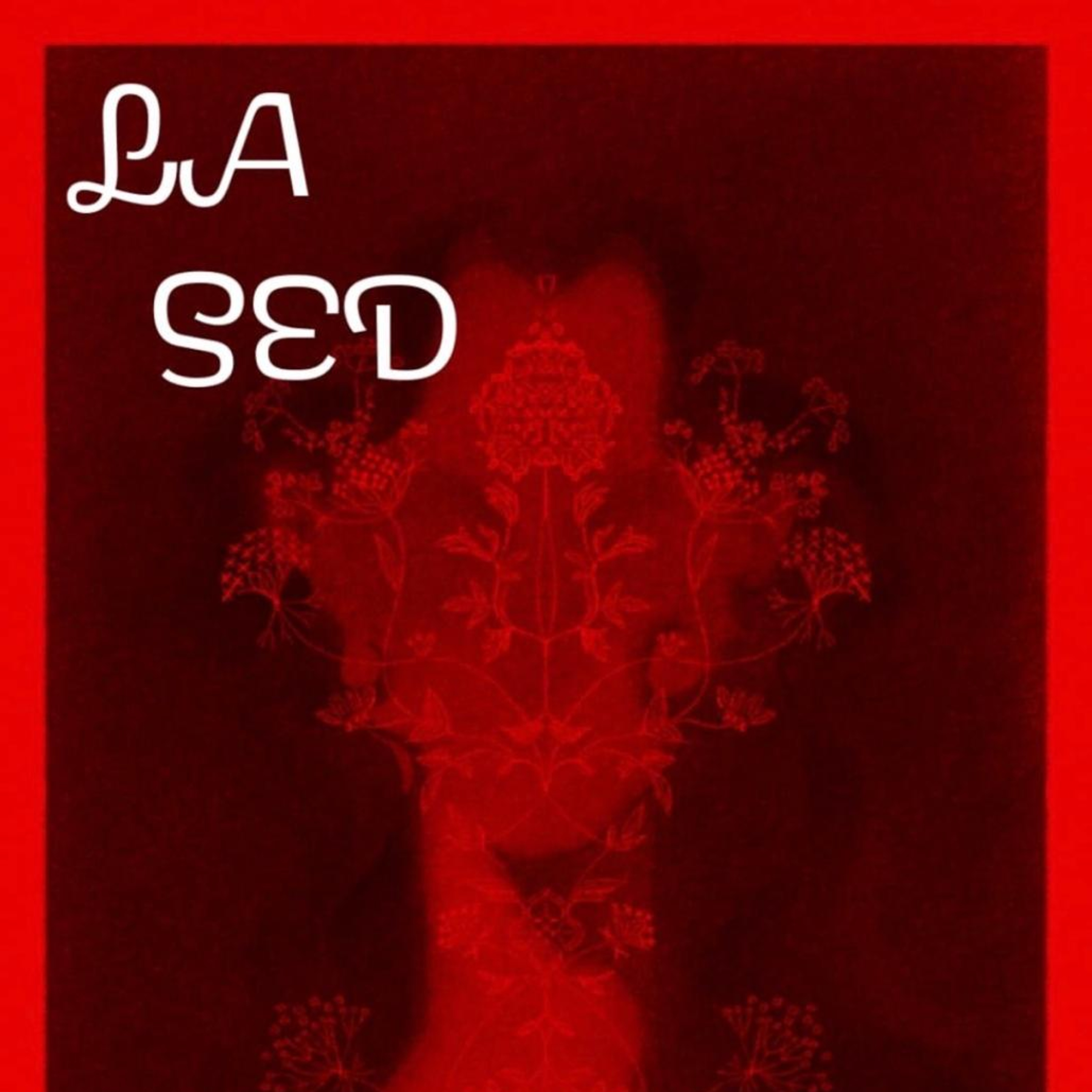 Portada de Hoy toca libro