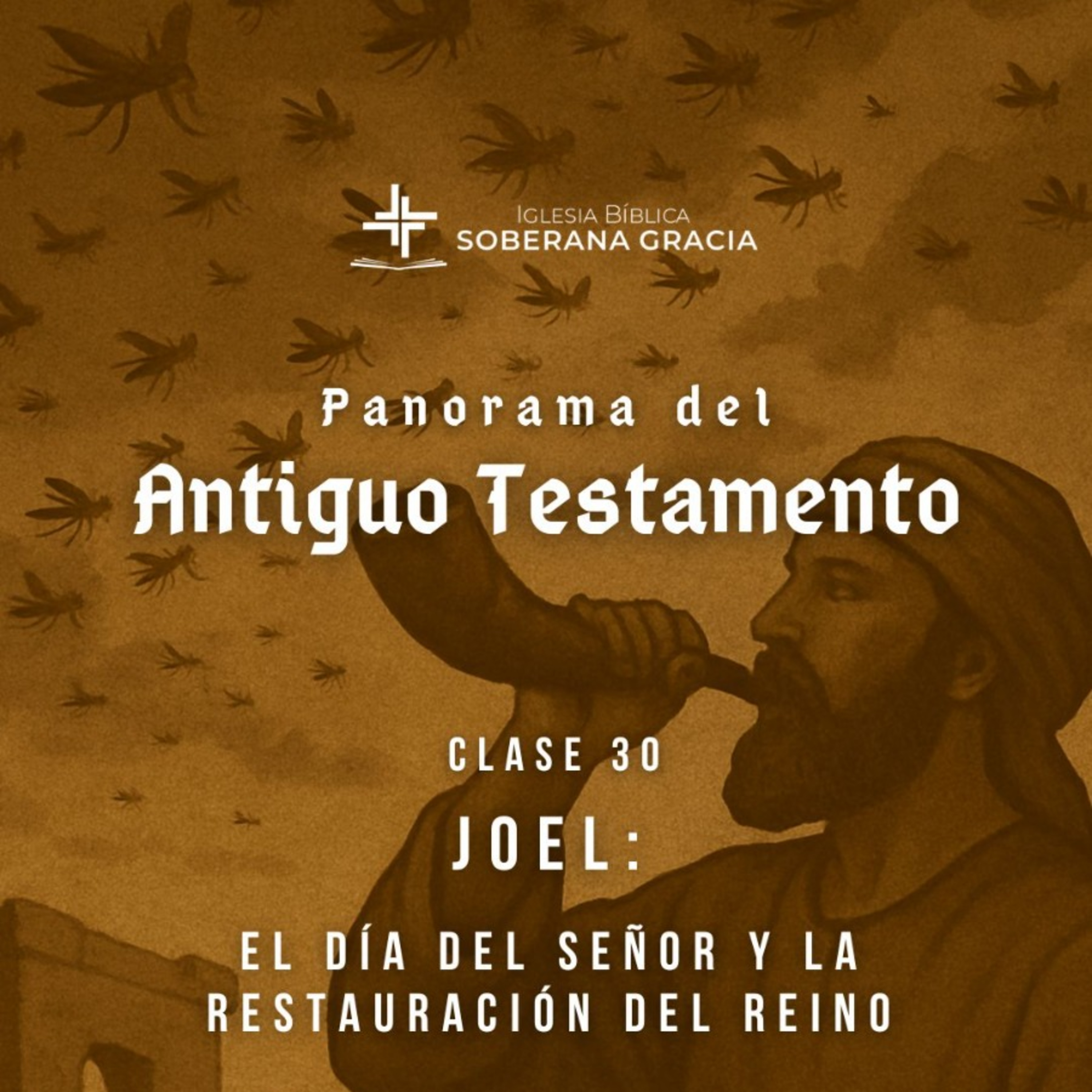 Iglesia Bíblica Soberana Gracia