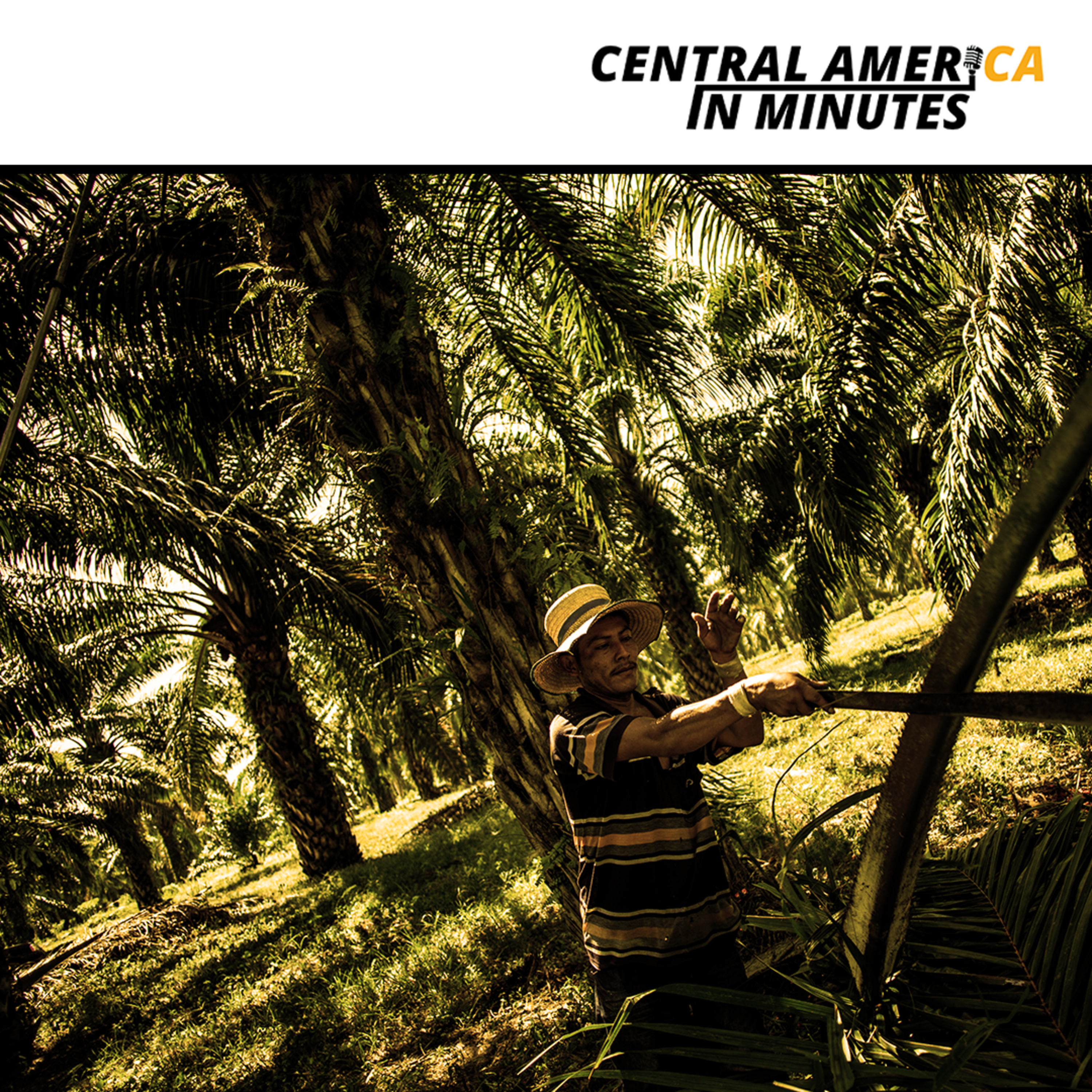 Honduran Campesinos Under Siege in Bajo Aguán episode artwork