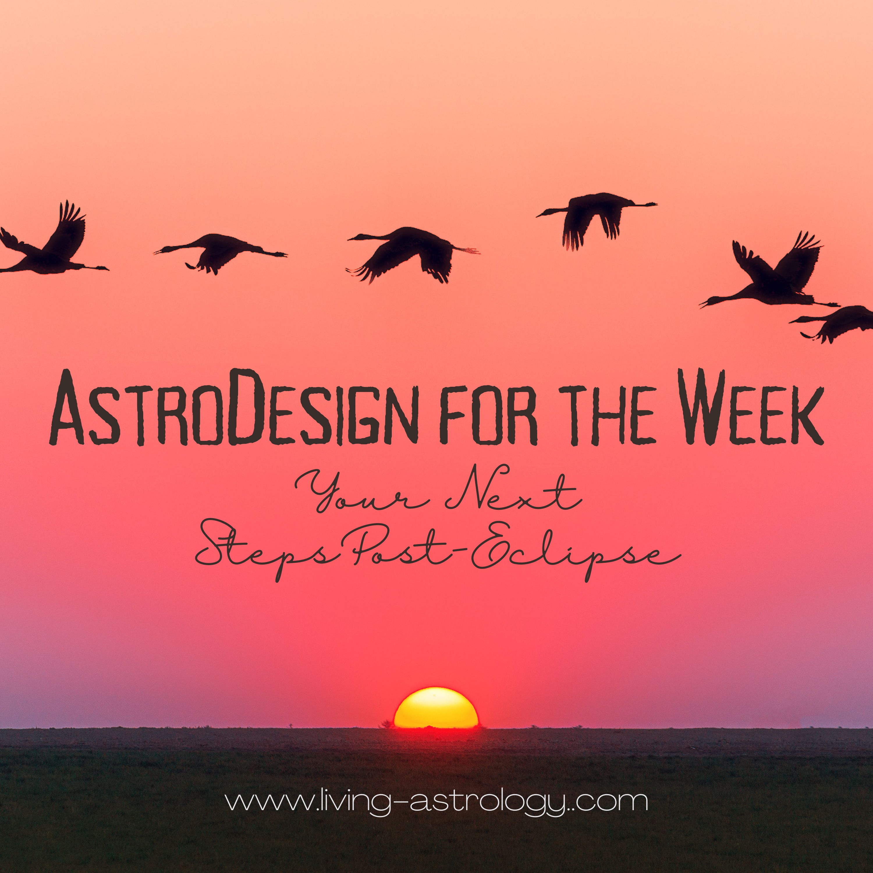 Living Astrology With Janet Hickox