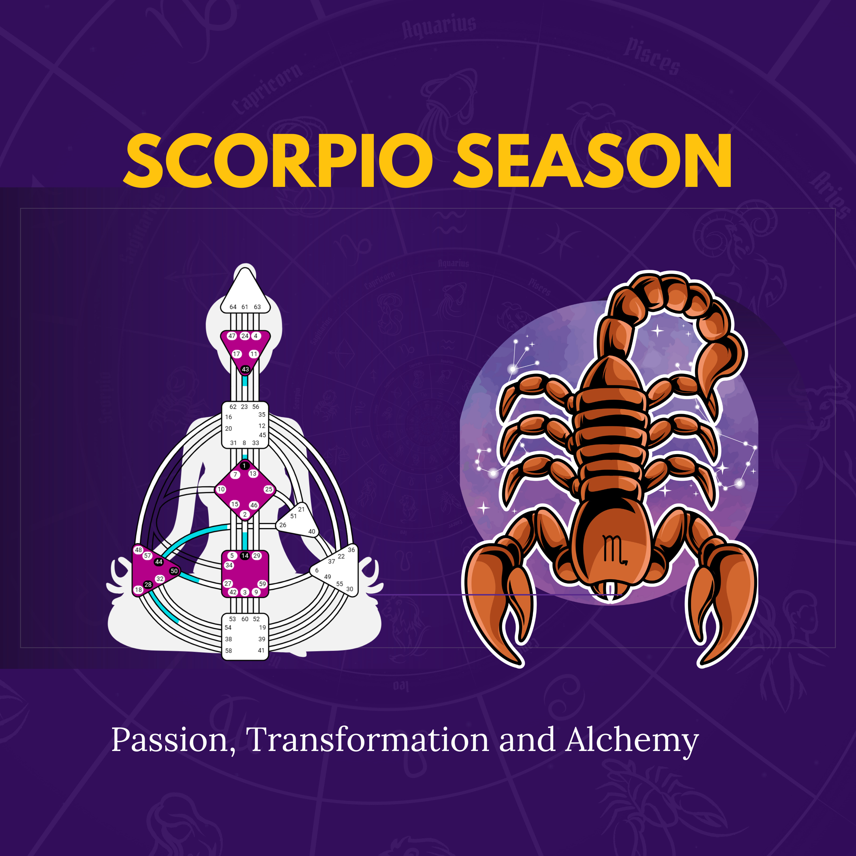 Living Astrology With Janet Hickox