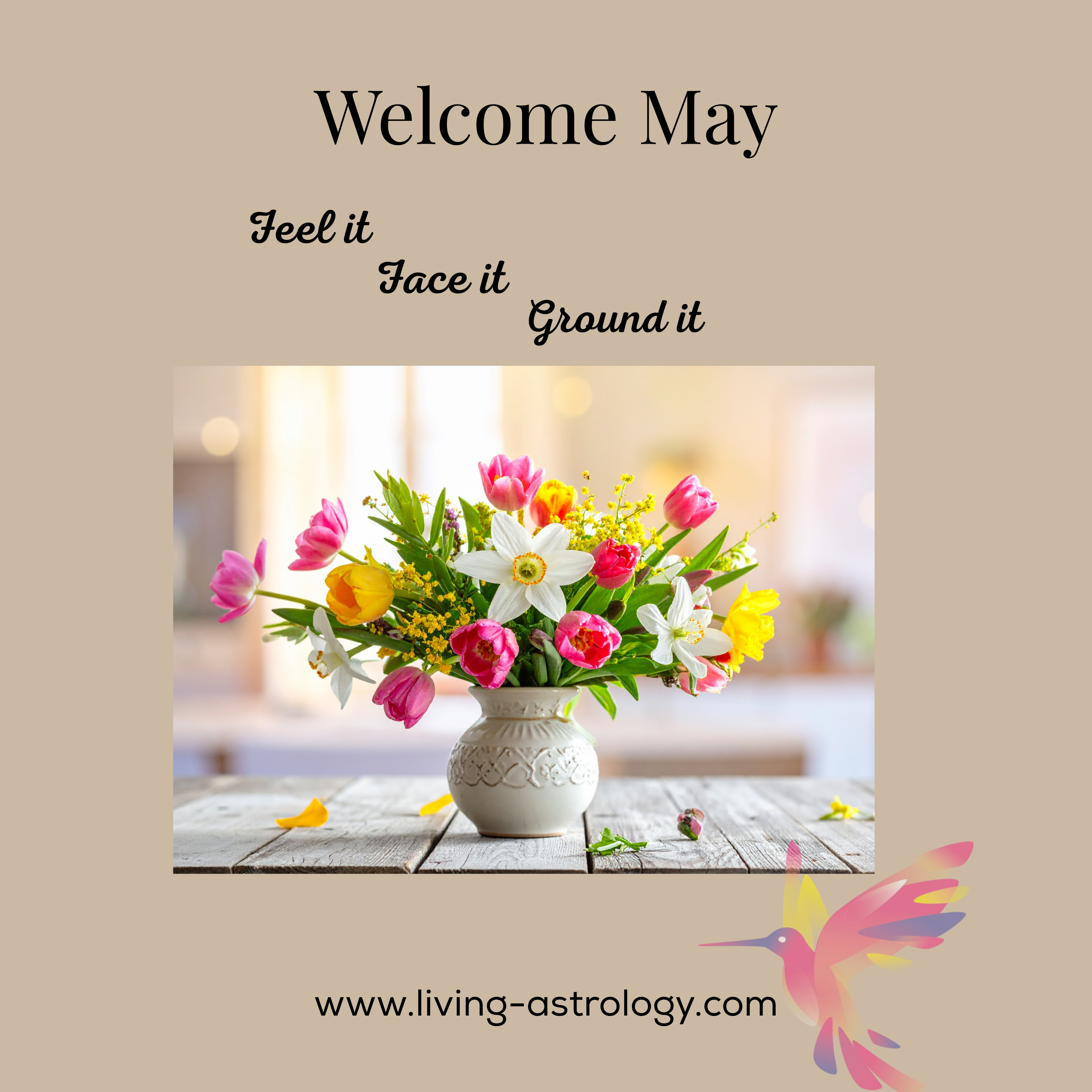 Feel it ... Face it ... Ground it! May Begins Now episode artwork