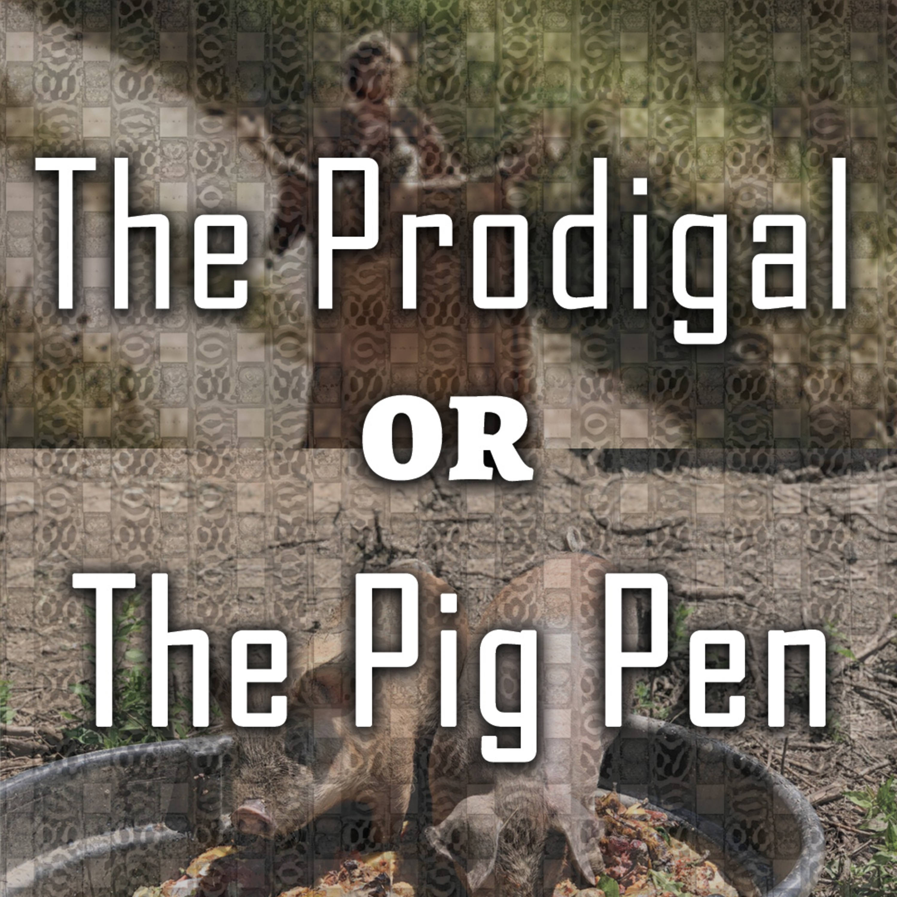 The Prodigal Or The Pig Pen  episode artwork