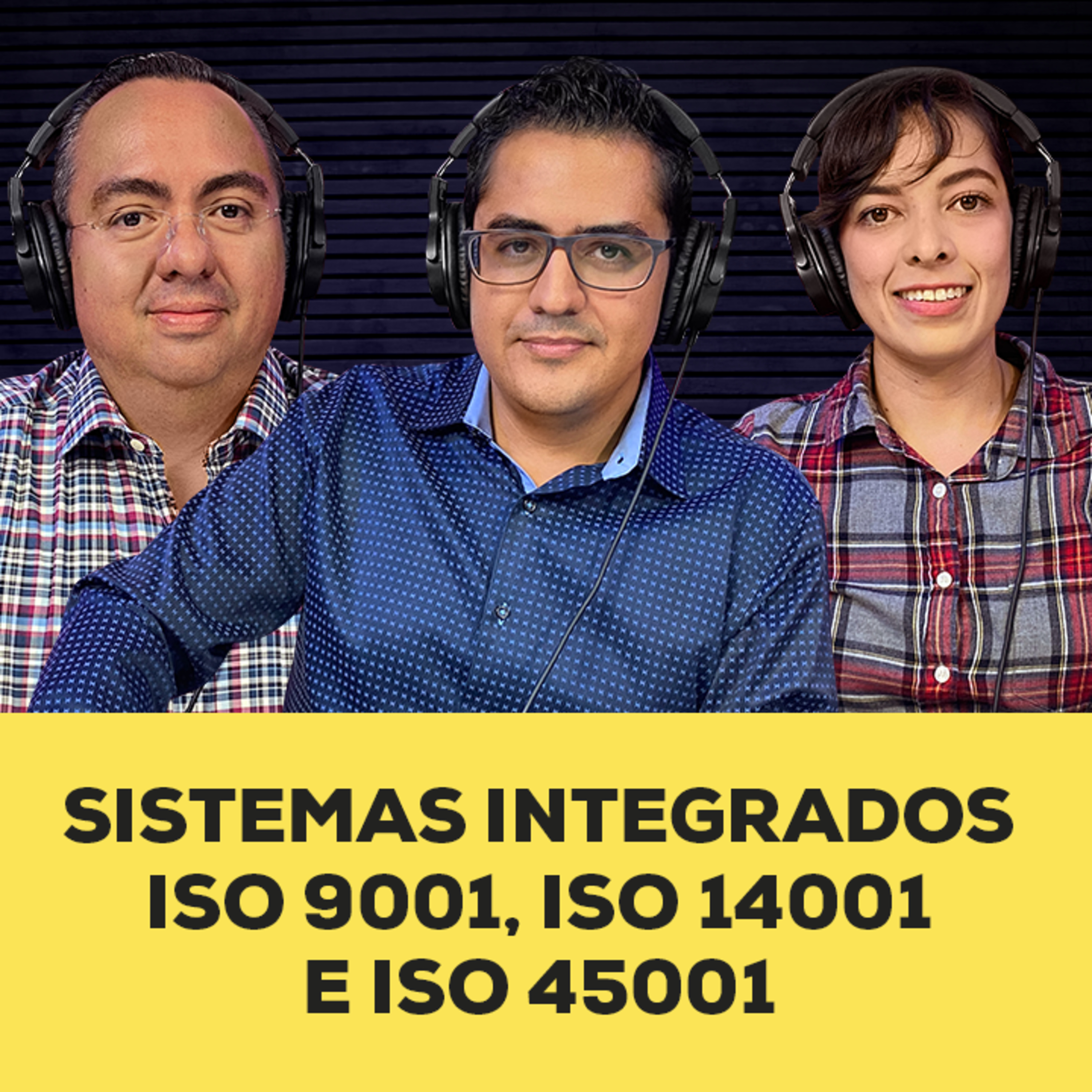 Sistemas integrados (9K, 14K, & 45K)  episode artwork